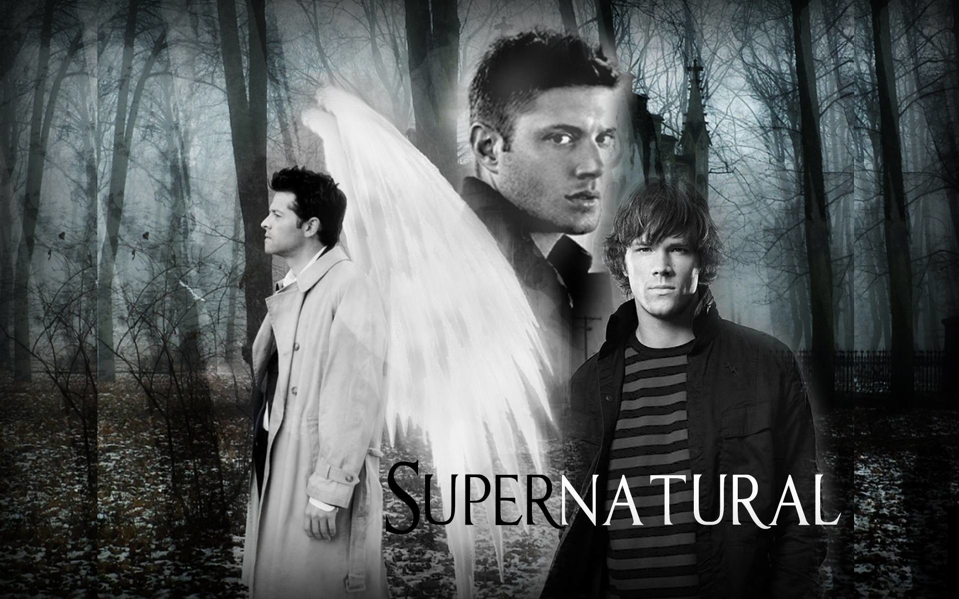 Castiel, Dean Winchester, Sam Winchester, Ali d'angelo, Bianco e nero, sfondo MacBook Air