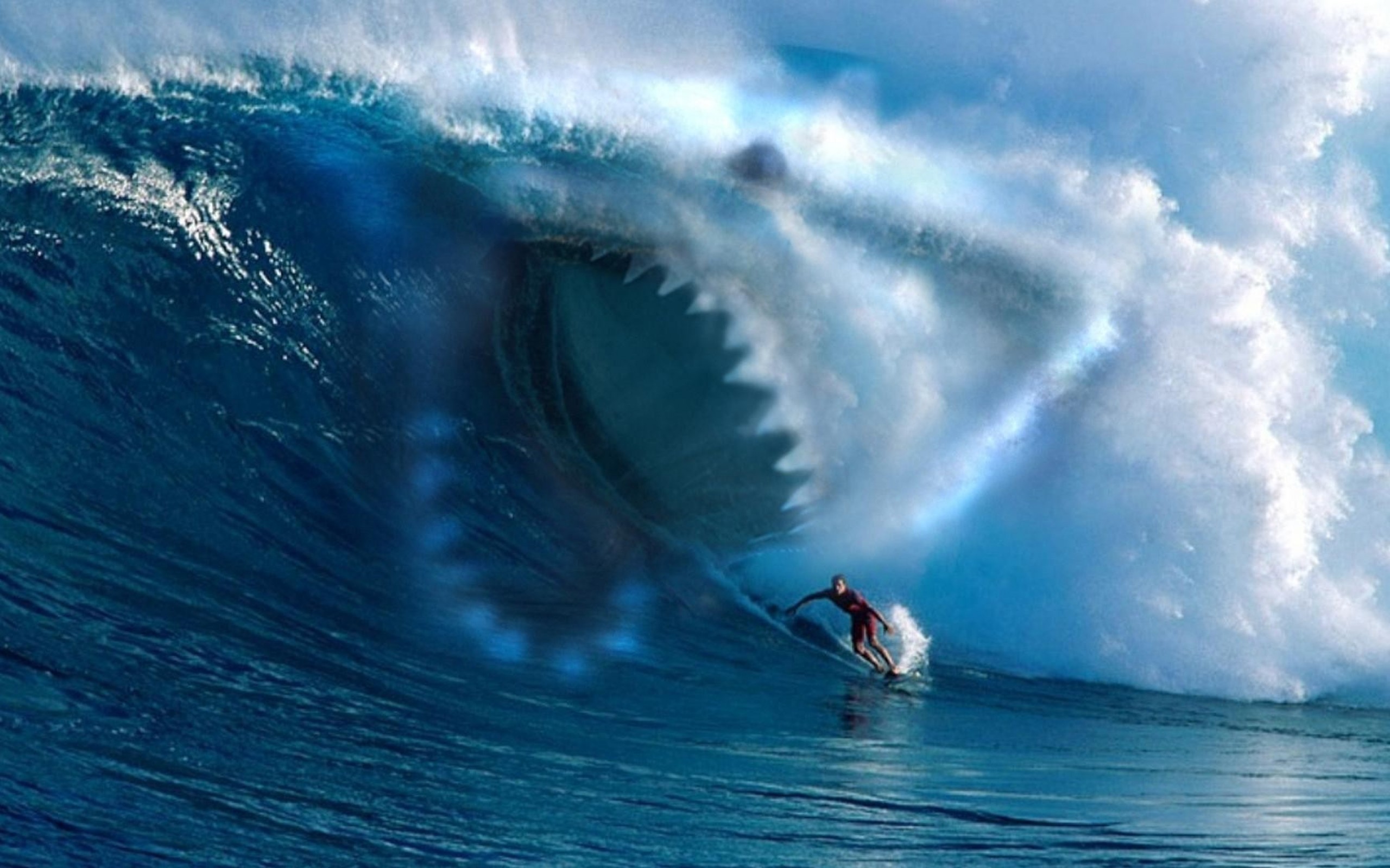 Squalo, Onda gigante, Surfista, Fotomontaggio, Fauci, 2560x1600, sfondo MacBook Pro