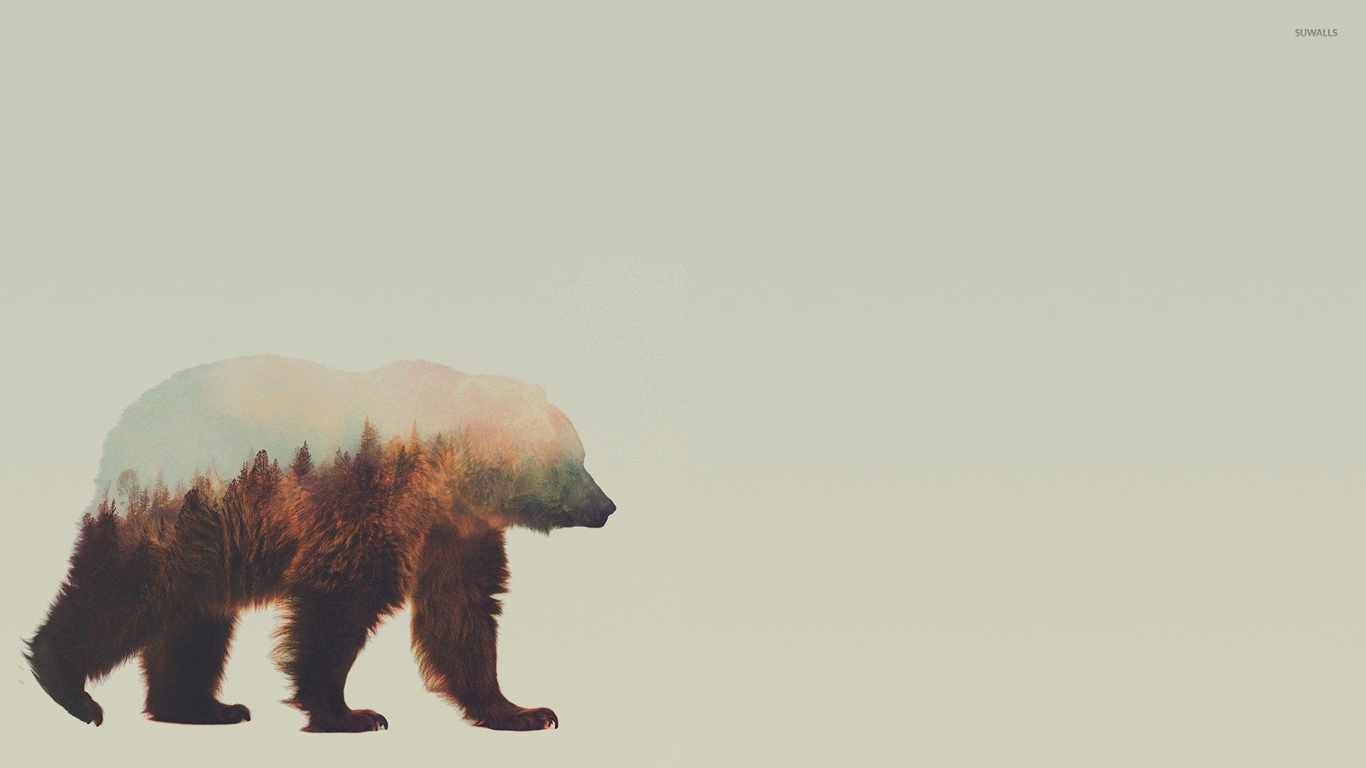 Orso, Doppia esposizione, Foresta, Silhouette, Full HD, sfondo per PC