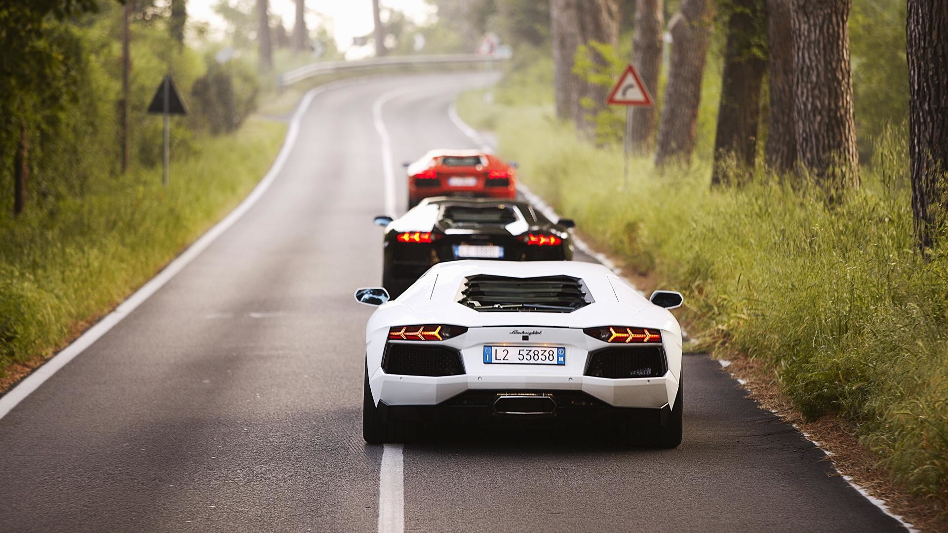 Lamborghini Aventador, Strada di campagna, Bianco, Vista posteriore, Alberi, sfondo desktop