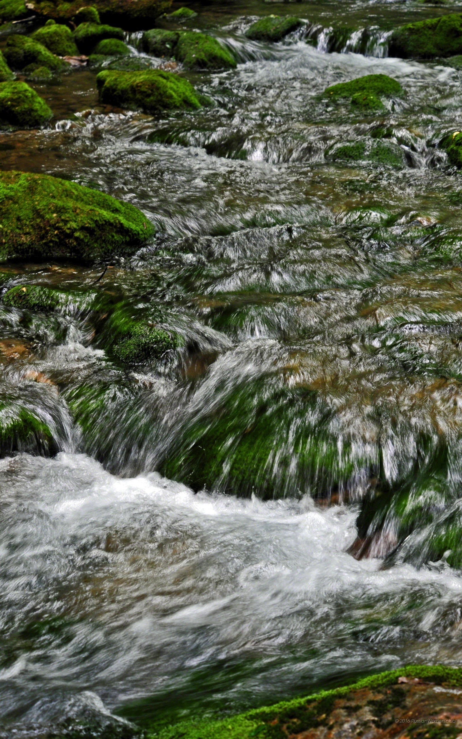 Torrente, Muschio, Rocce, Acqua corrente, Natura, sfondo cellulare