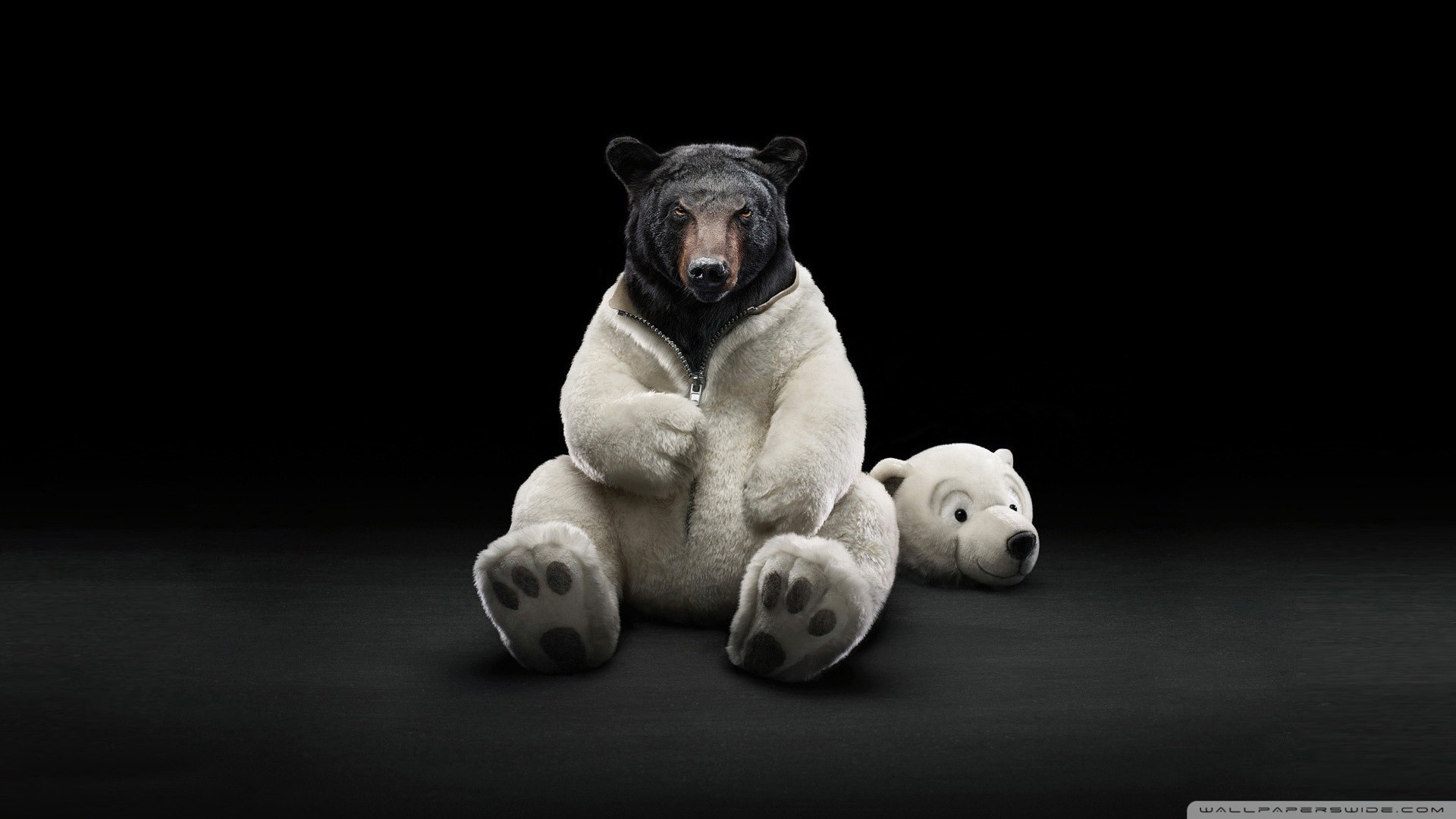 Orso nero, Costume da orso polare, Peluche, Buffo, Sfondo nero, Full HD, wallpaper per computer