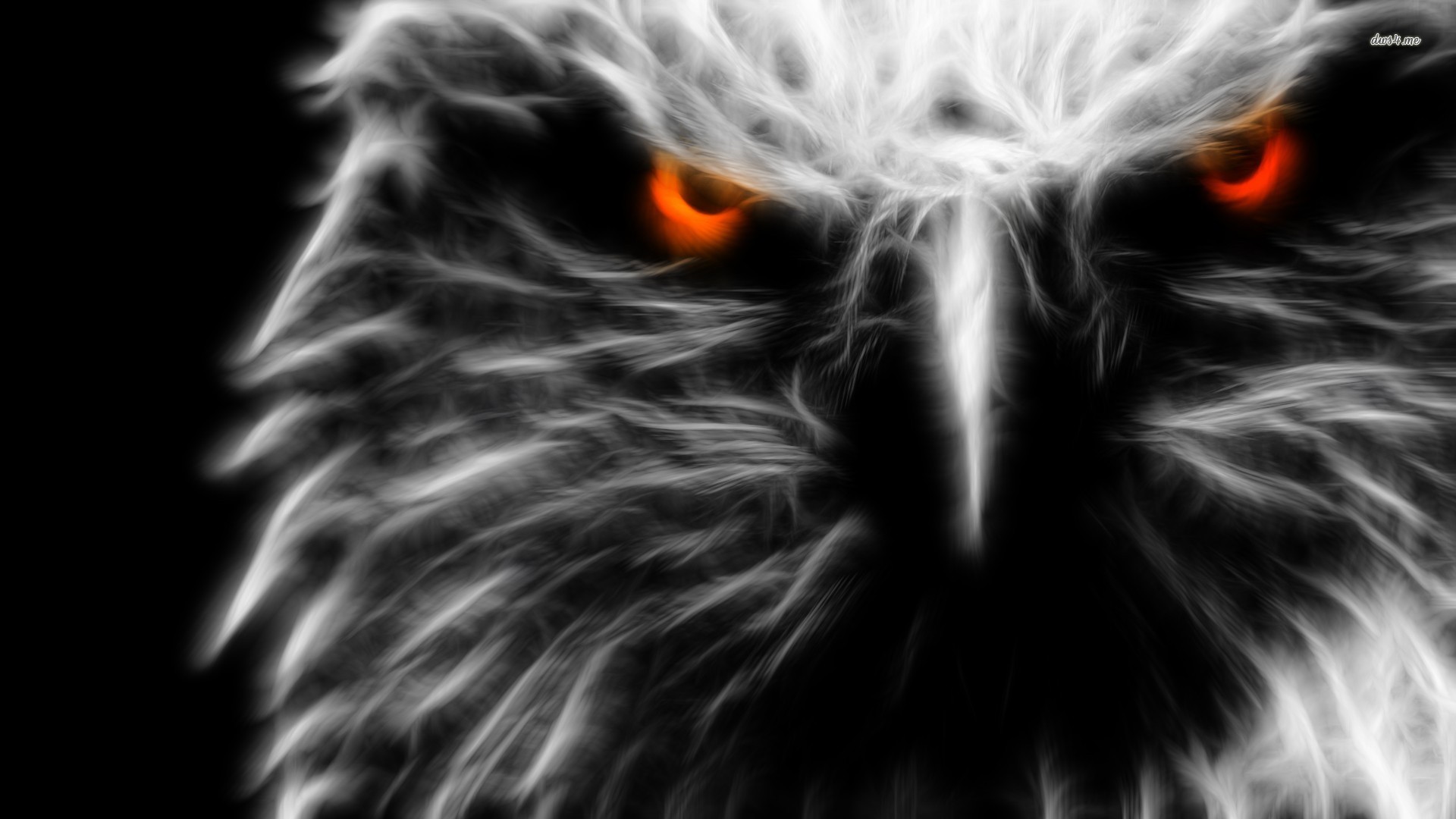 Aquila, Arte frattale, Occhi rossi, Bianco e nero, Full HD, sfondo per PC