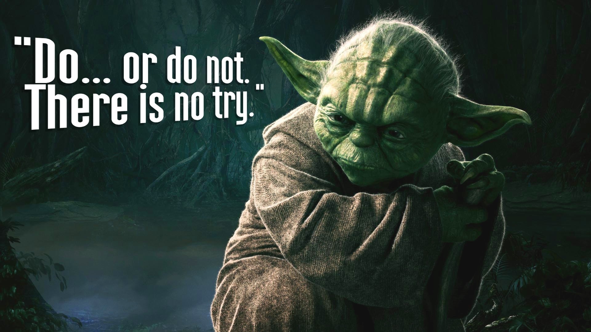 Yoda, Do or do not, there is no try, Citazione, Foresta, 1920x1080, sfondo per PC