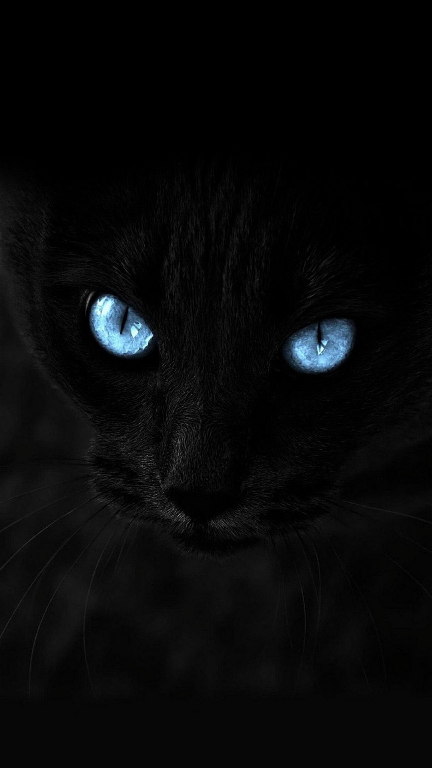 Gatto nero, Occhi azzurri, Sfondo nero, QHD+, schermata di blocco iPhone 7