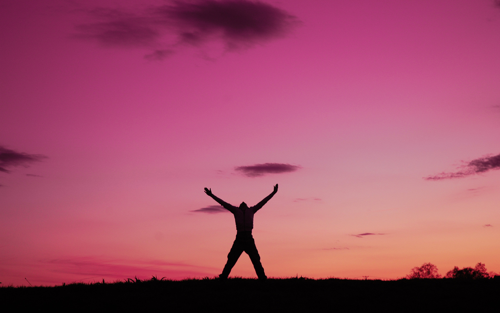 Silhouette, Tramonto, Cielo rosa, Libertà, 16:10 Full HD, sfondo widescreen