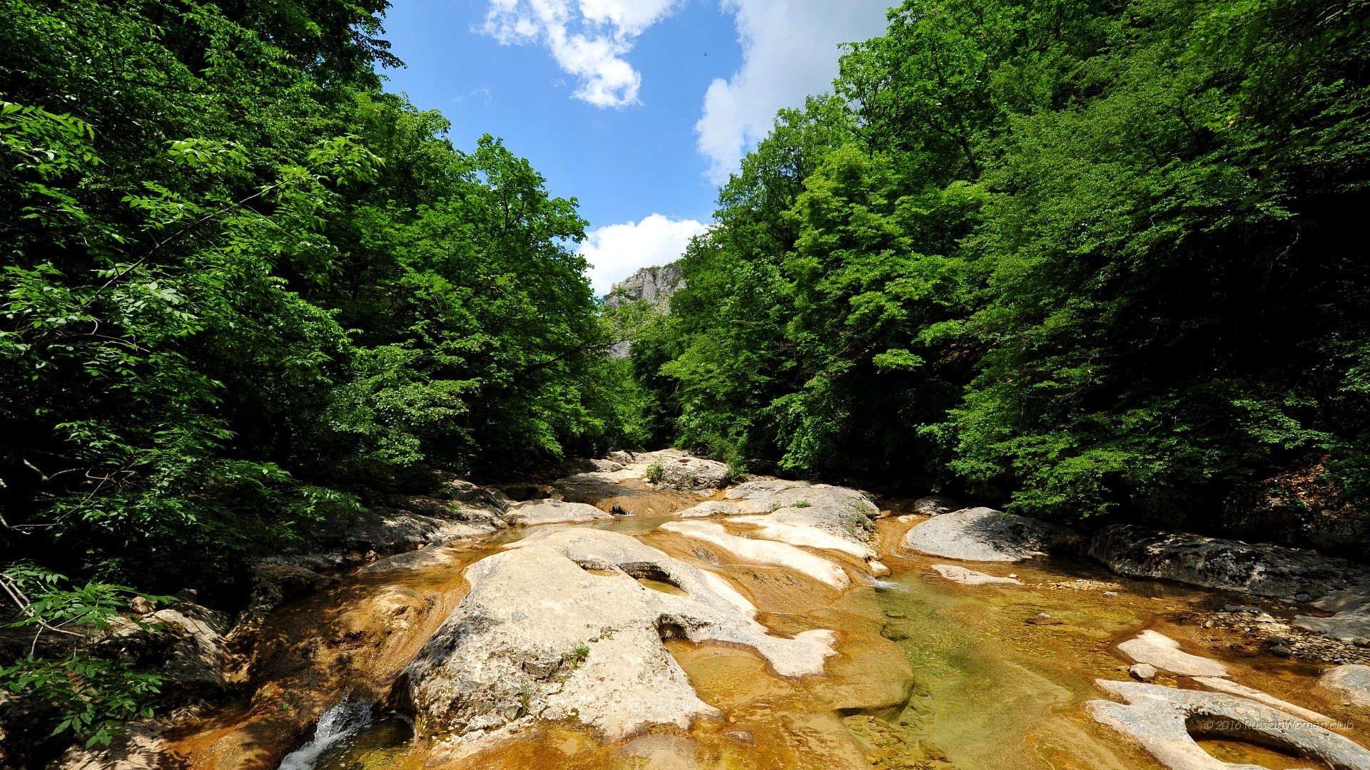 Torrente, Foresta, Rocce, Estate, 16:9 Full HD, sfondo widescreen