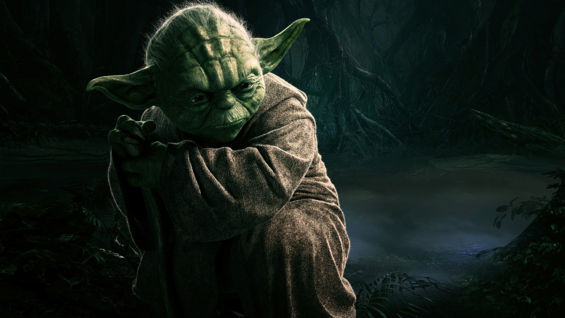 Yoda, Dagobah, Star Wars, Maestro Jedi, Foresta, Full HD, sfondo per PC e portatile
