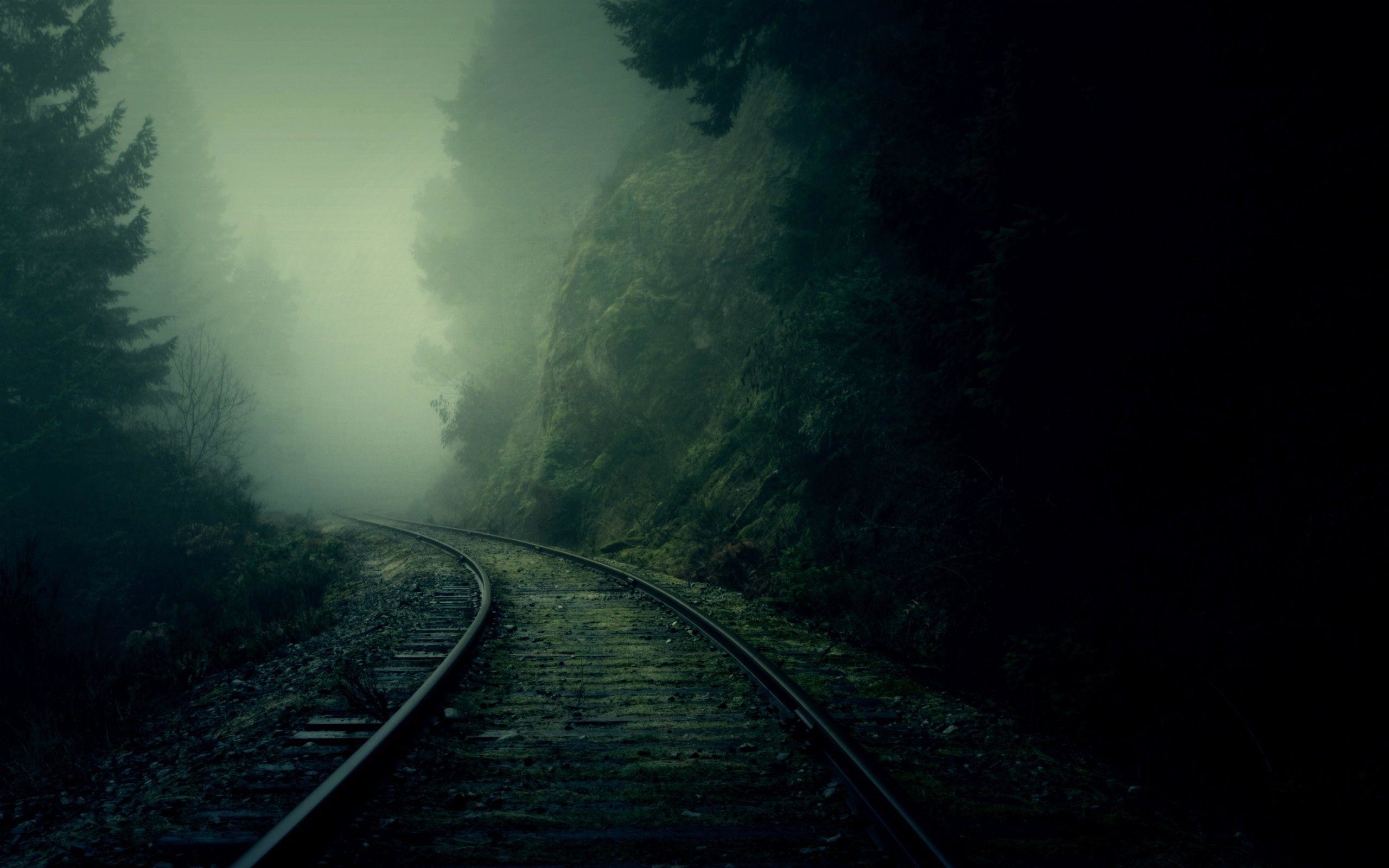 Binari, Foresta, Nebbia, Atmosfera cupa, 2560x1600, sfondo MacBook Pro