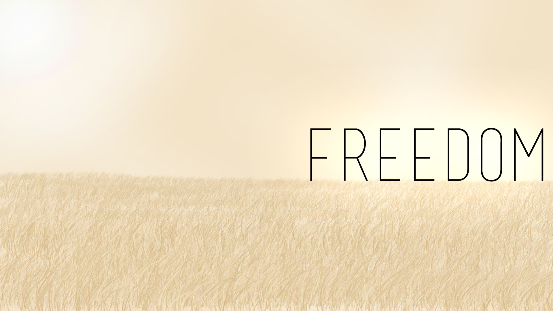 Freedom, Campo di grano, Tipografia, Beige, Minimalismo, 16:9 Full HD, sfondo widescreen