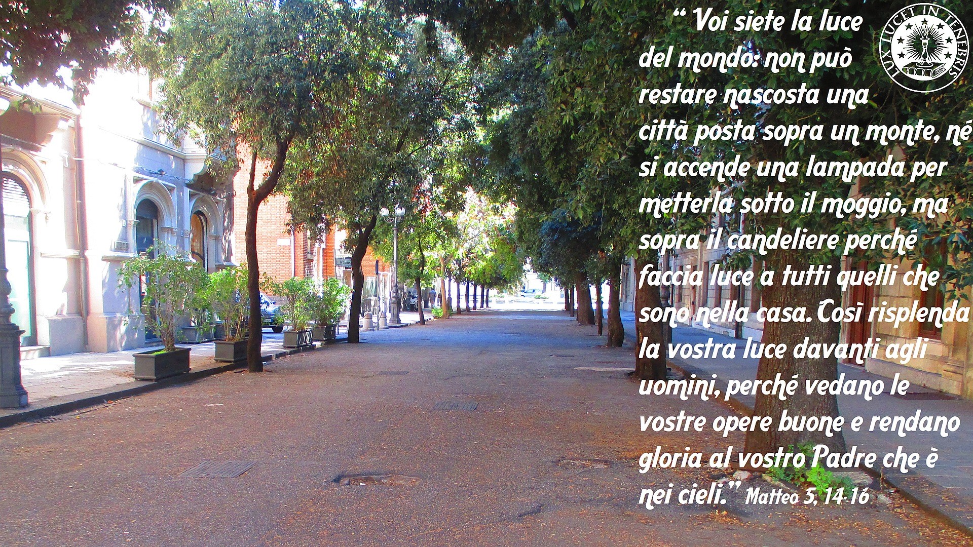 Matteo 5,14-16, Citazione biblica, Viale alberato, Strada, Full HD, sfondo PC