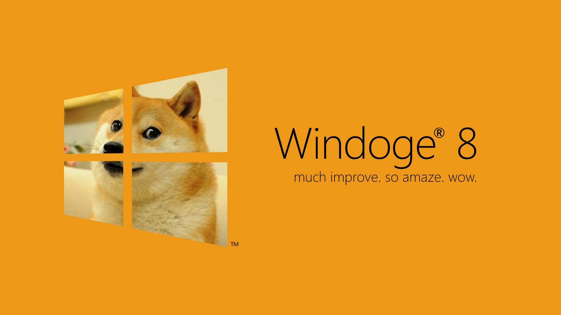 Windoge 8, Doge, Windows 8, Arancione, Full HD, sfondo desktop