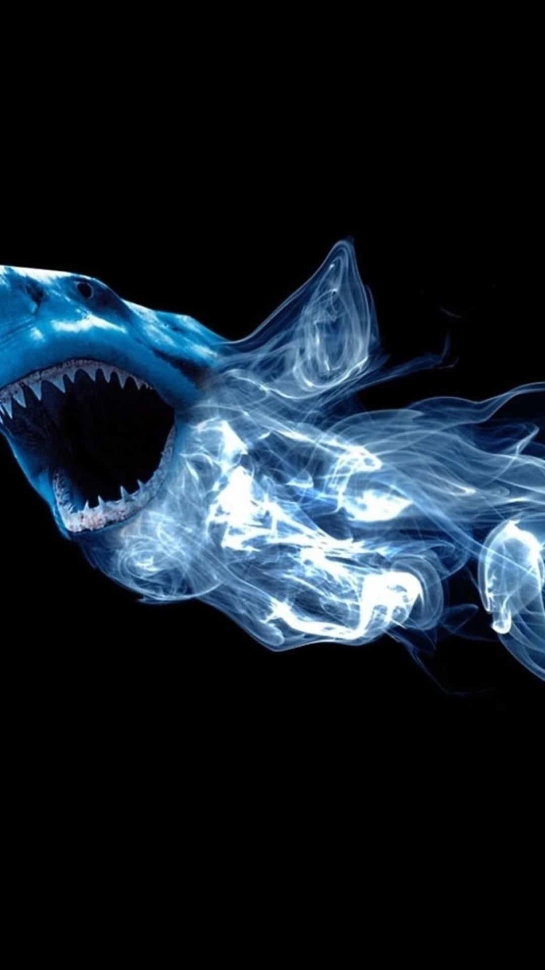 Squalo, Arte digitale, Sfondo nero, Azzurro, Full HD, schermata di blocco Android