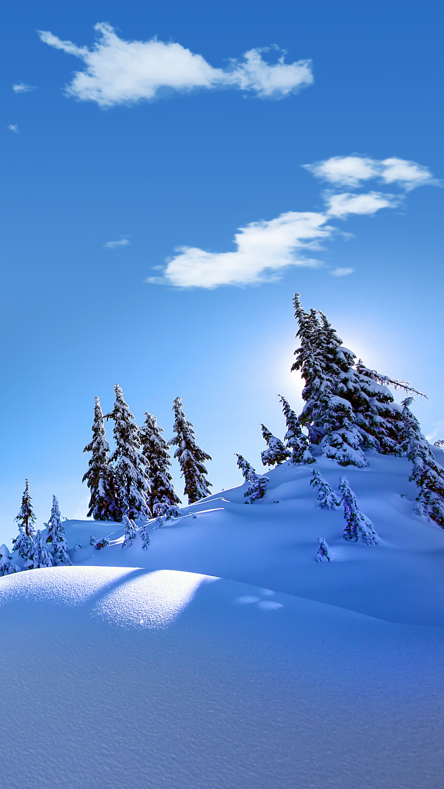 Neve, Abeti, Cielo azzurro, Inverno, QHD+, sfondo Galaxy S7
