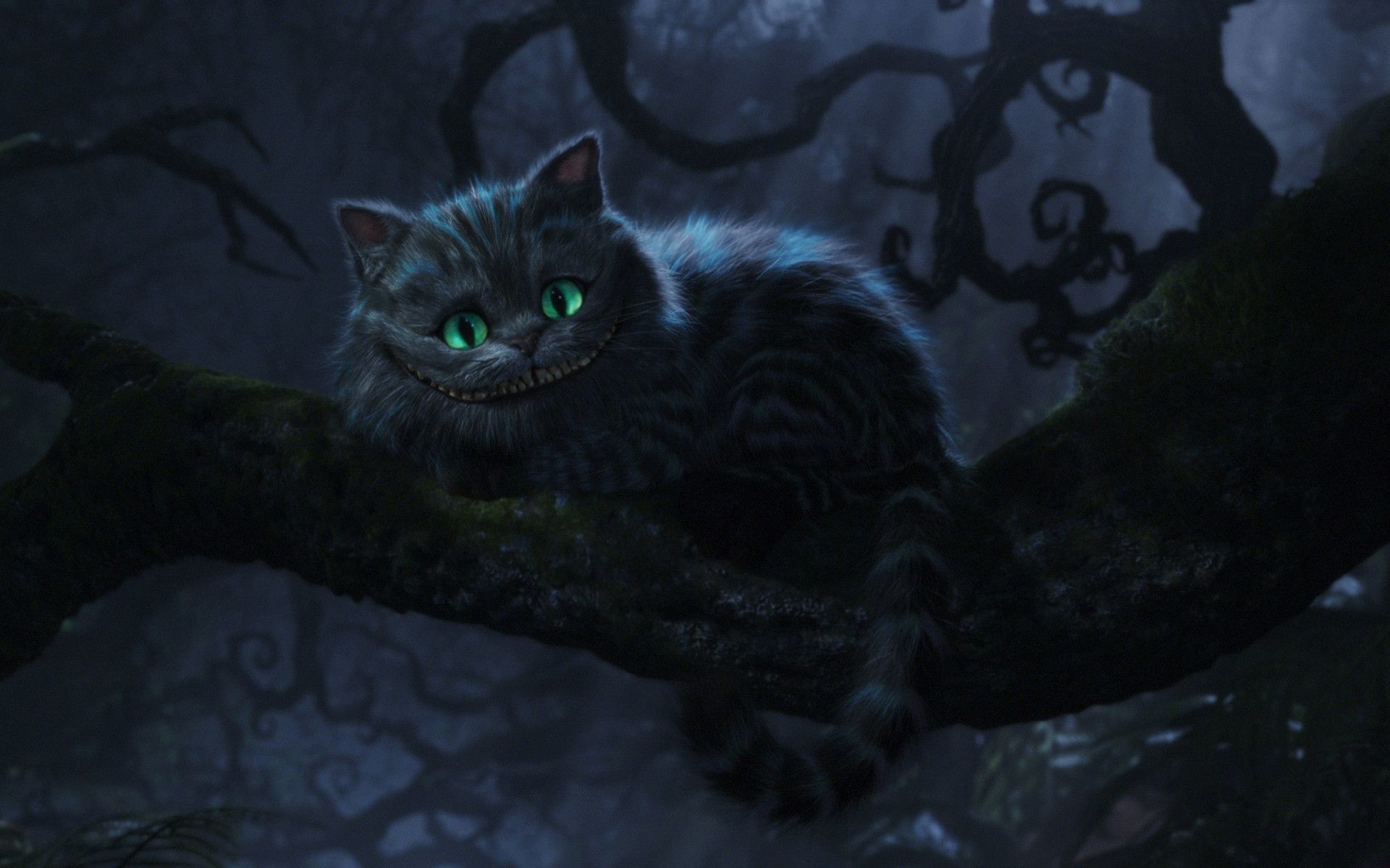 Stregatto, Alice in Wonderland (2010), Ramo, Notte, 16:10 Full HD, sfondo widescreen