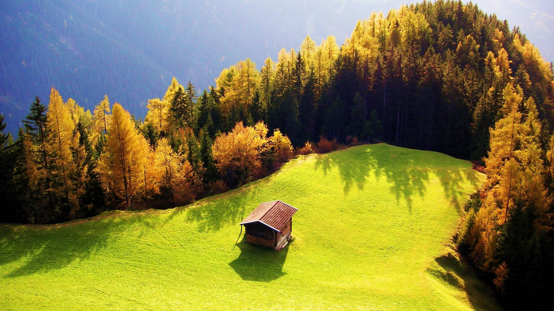 Baita, Prato, Bosco, Autunno, Full HD, wallpaper desktop