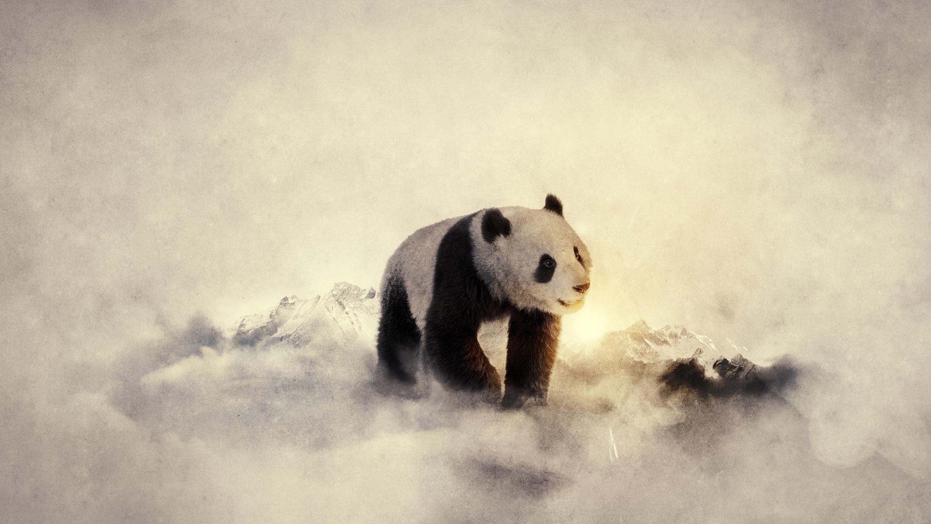 Panda, Nebbia, Arte digitale, Full HD, sfondo per PC e portatile