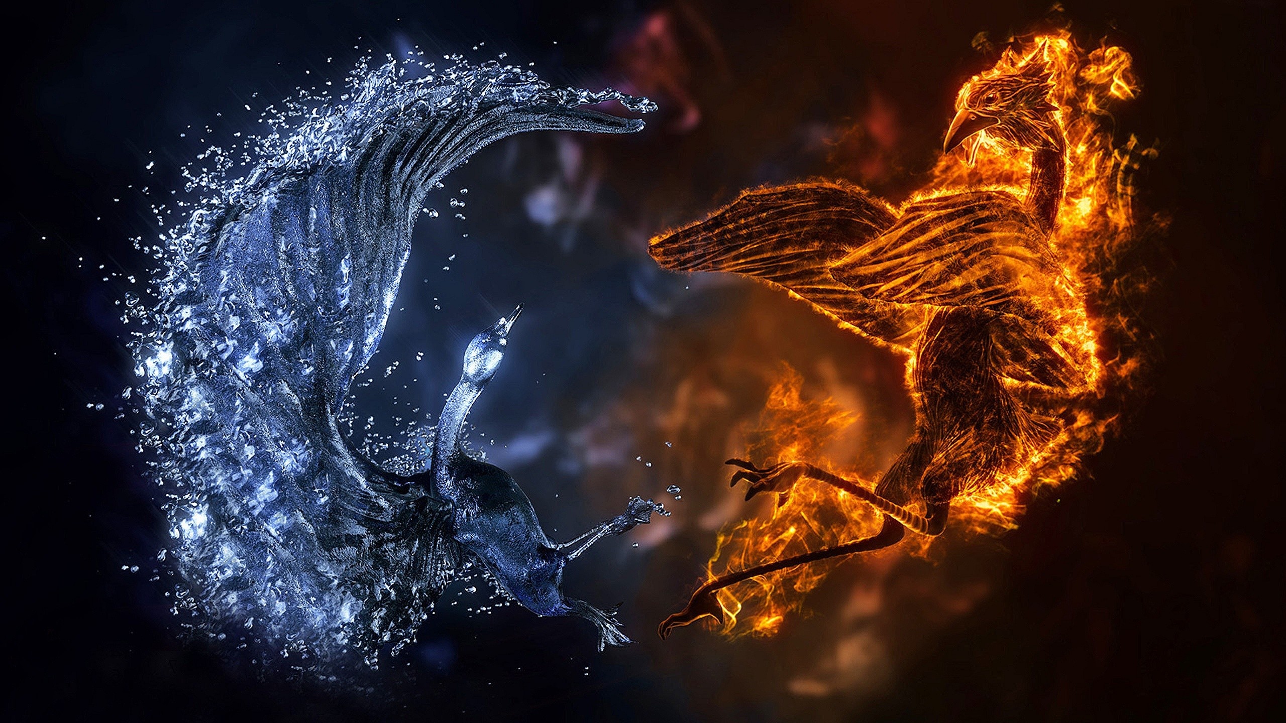 Fenice, Fuoco e acqua, Uccelli, Arte digitale, 2560x1440, sfondo per PC