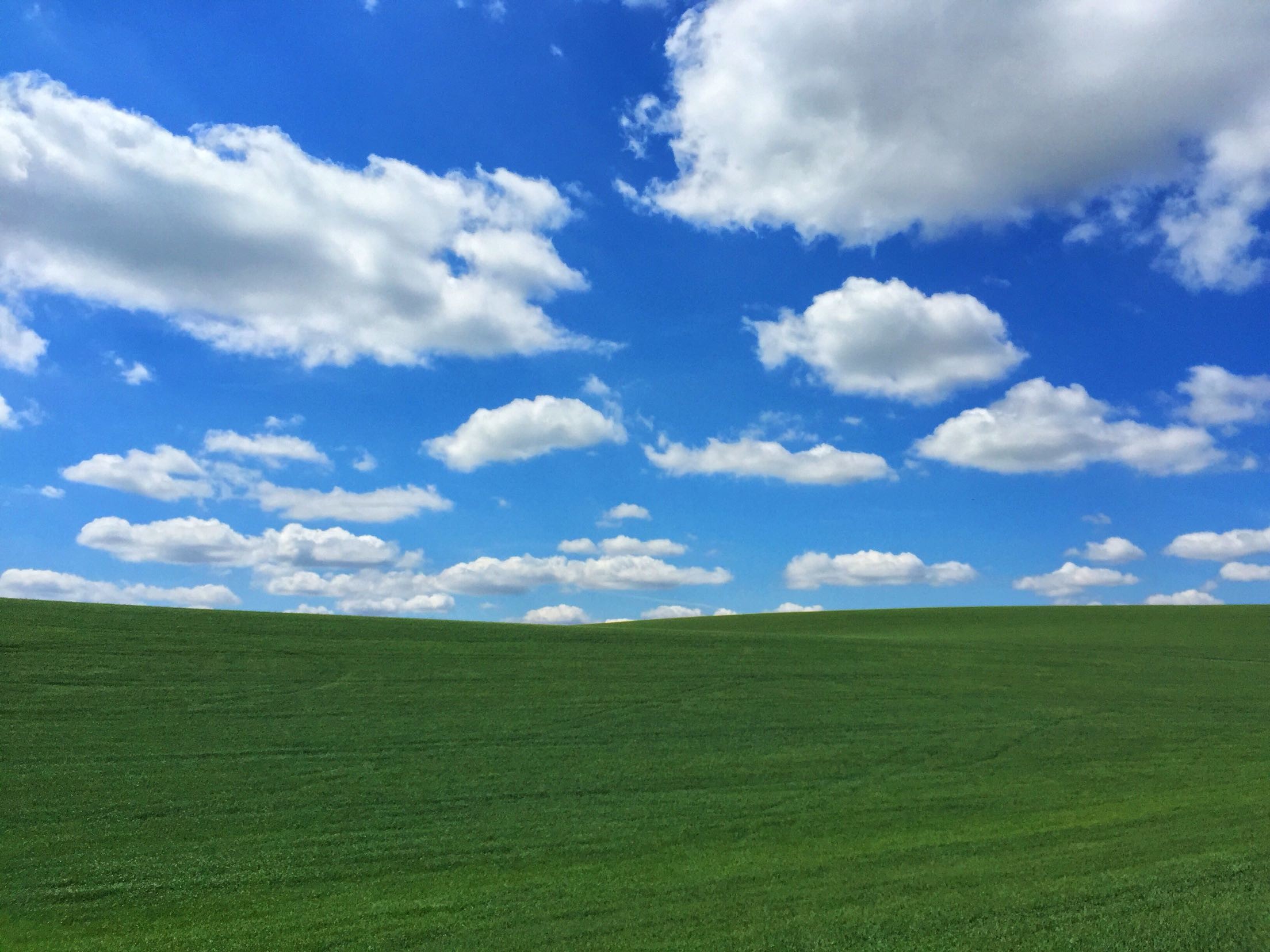 Bliss, Windows XP, Prato, Nuvole, Cielo azzurro, Full HD, wallpaper per tablet