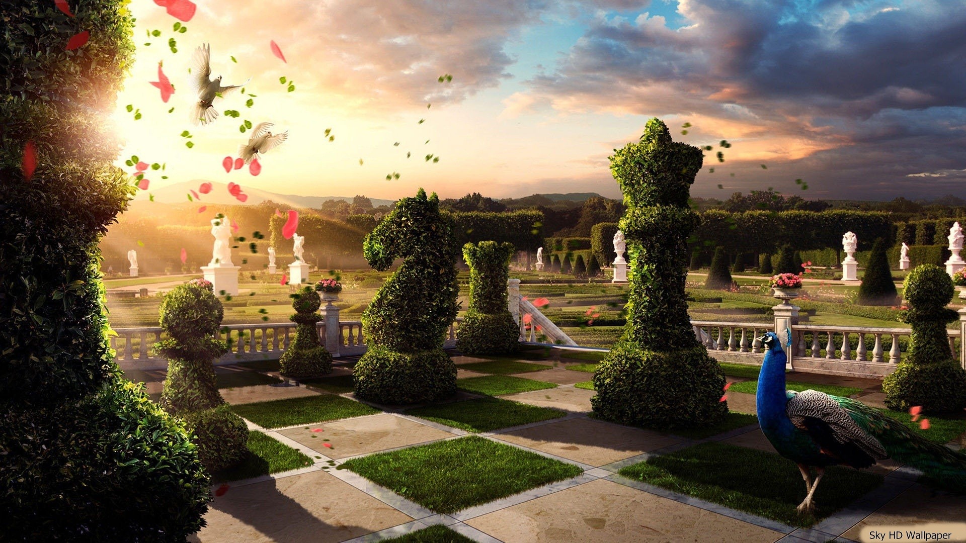 Scacchi giganti, Giardino topiario, Pavone, Tramonto, Full HD 1080p, sfondo desktop