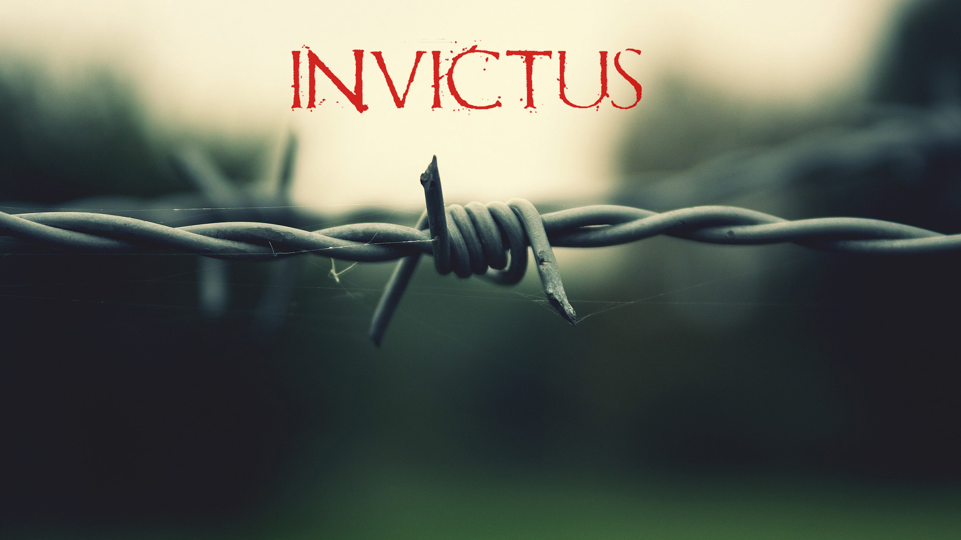 Invictus, Filo spinato, Tipografia, Full HD, immagine di sfondo PC