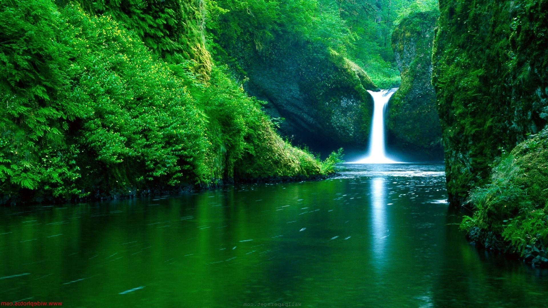 Cascata, Gola, Vegetazione, Fiume, Full HD, wallpaper desktop