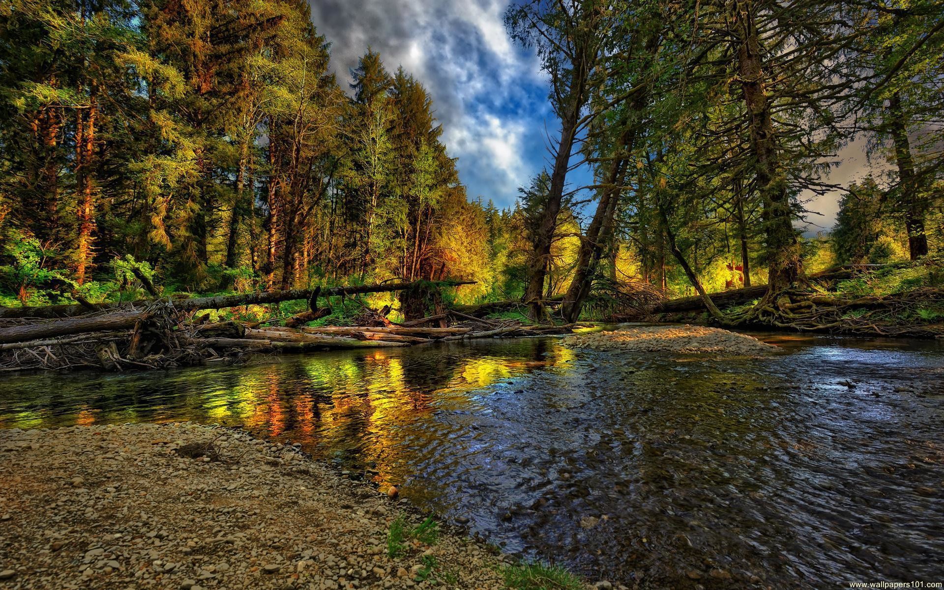 Foresta, Fiume, Autunno, HDR, immagine di sfondo PC