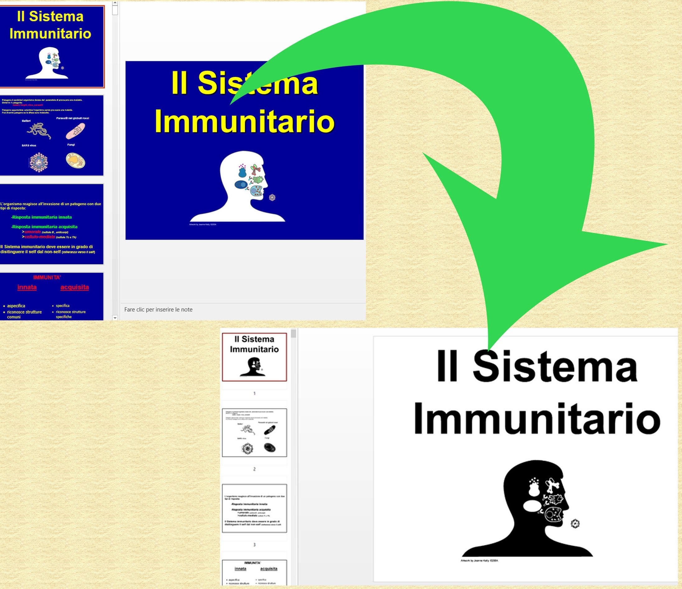 Il Sistema Immunitario, Diapositive, Presentazione, Full HD, sfondo per PC