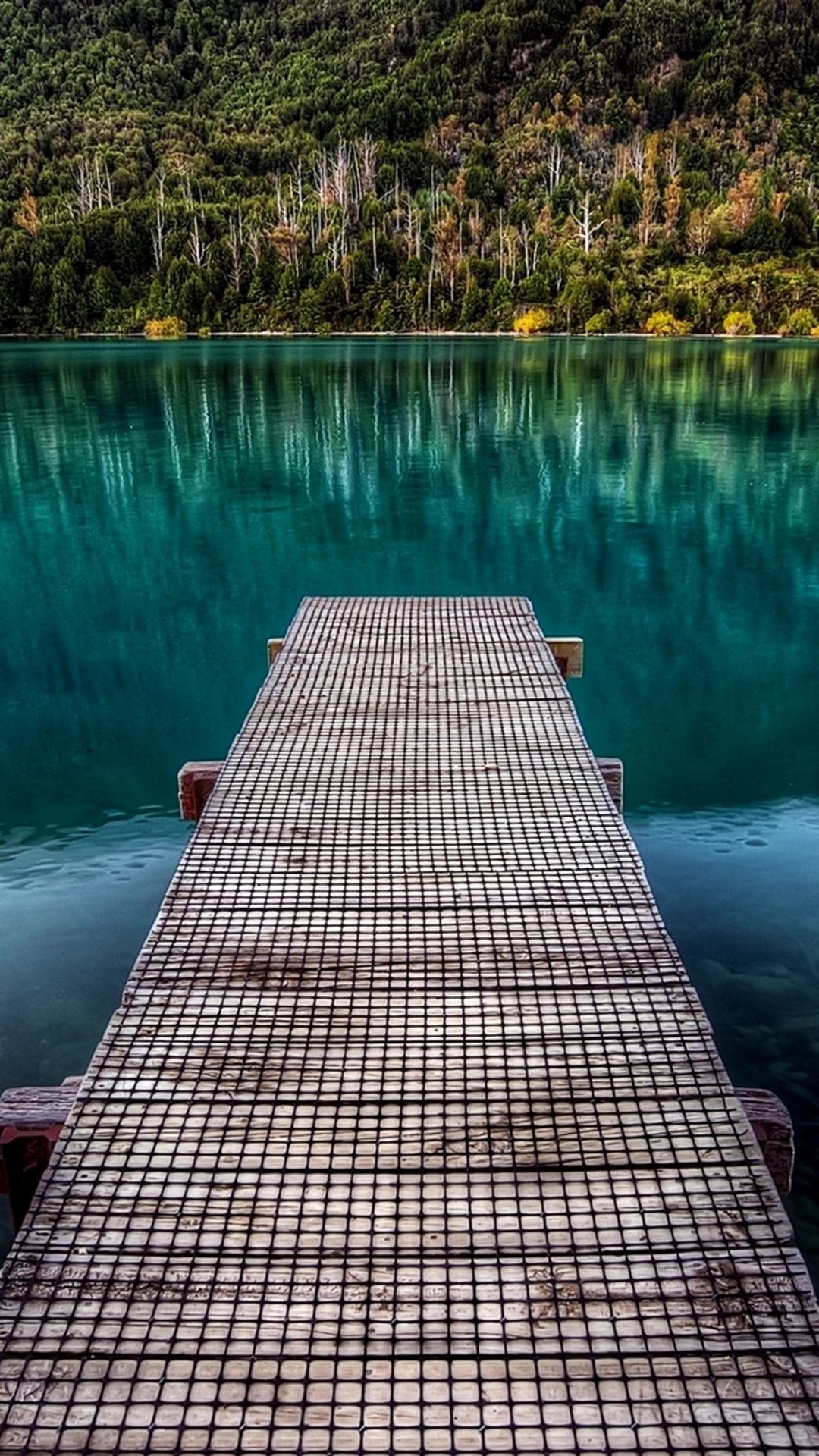 Pontile, Lago, Acqua verde, Foresta, Full HD, sfondo per smartphone