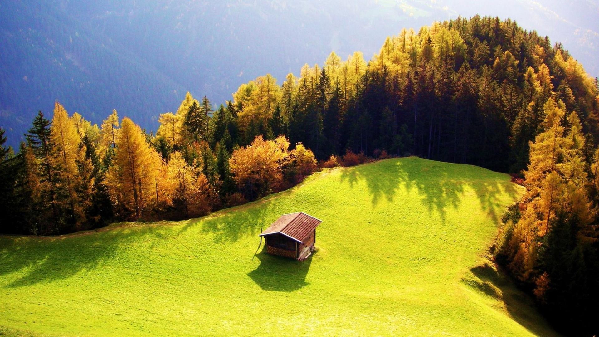 Prato, Baita, Foresta, Autunno, Collina, Full HD, sfondo per portatile