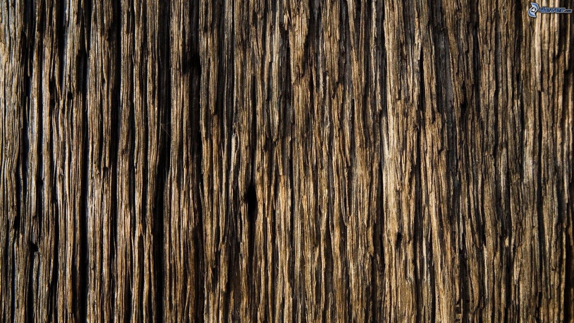 Corteccia, Venature, Legno, Full HD, sfondo per PC e portatile