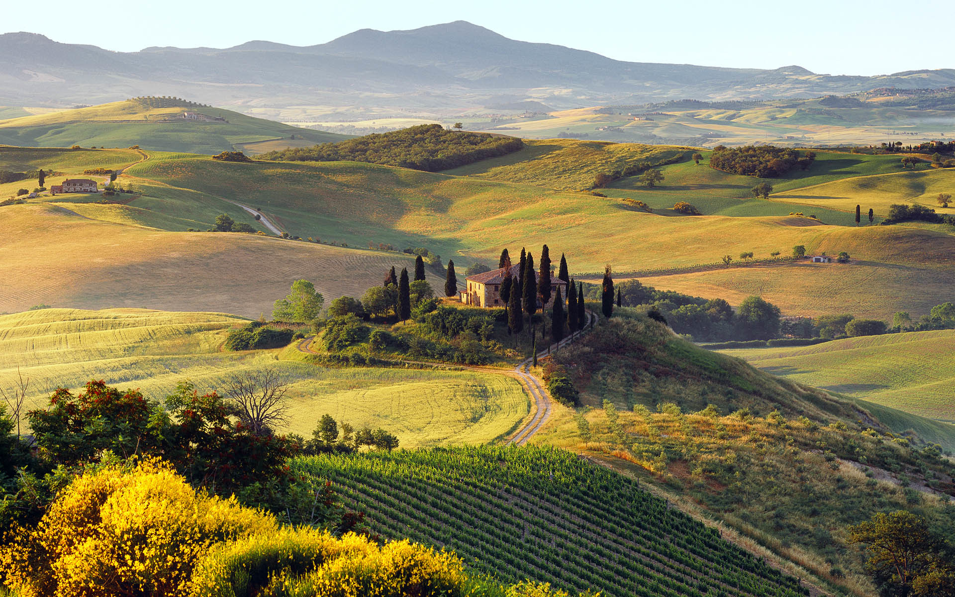 Val d'Orcia, Toscana, Italia, Colline, Cipressi, Full HD, sfondo Windows