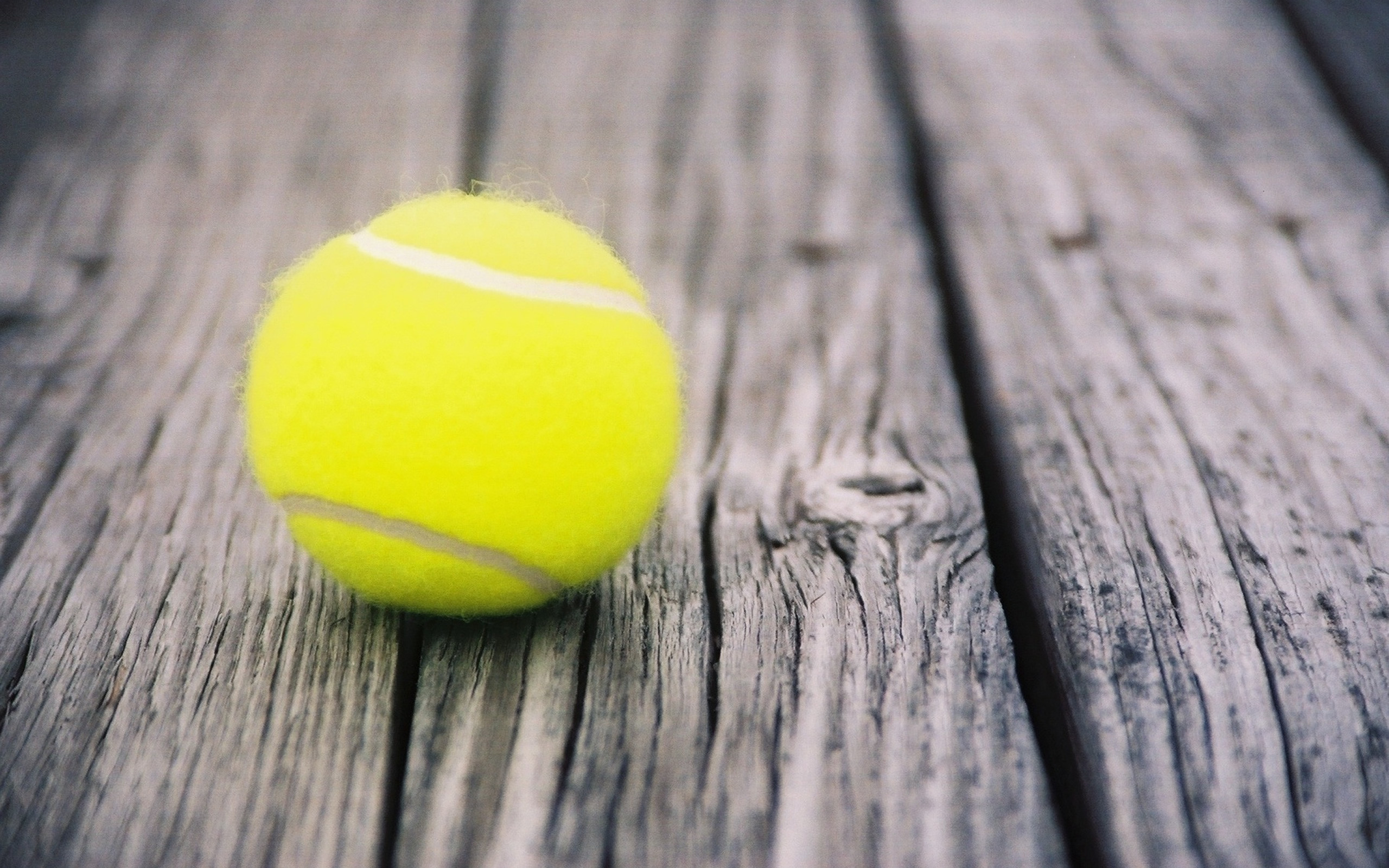 Pallina da tennis, Legno, Macro, 2K, sfondo desktop