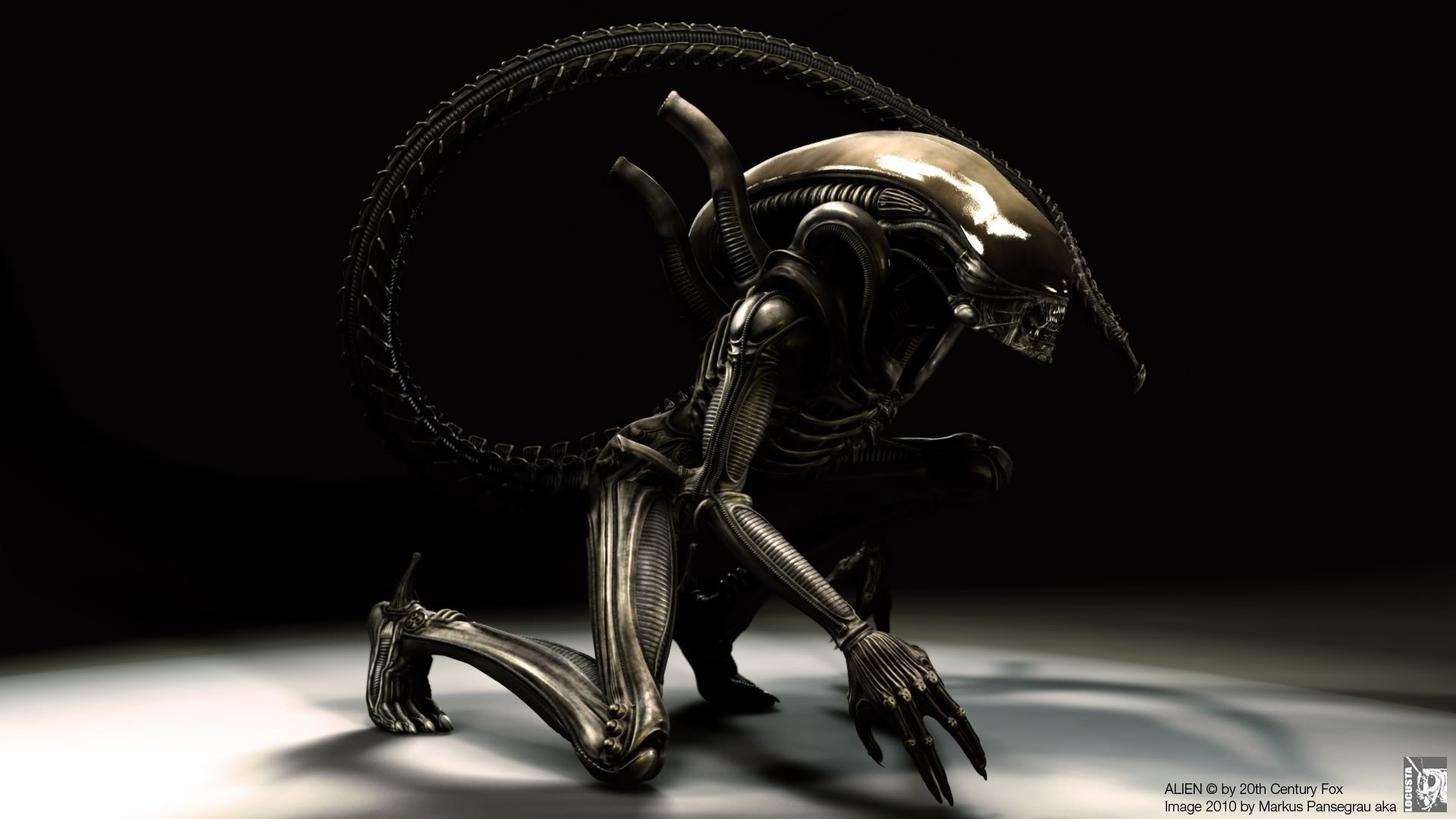 Xenomorfo, Alien, Riflettore, Sfondo scuro, Full HD, wallpaper per computer