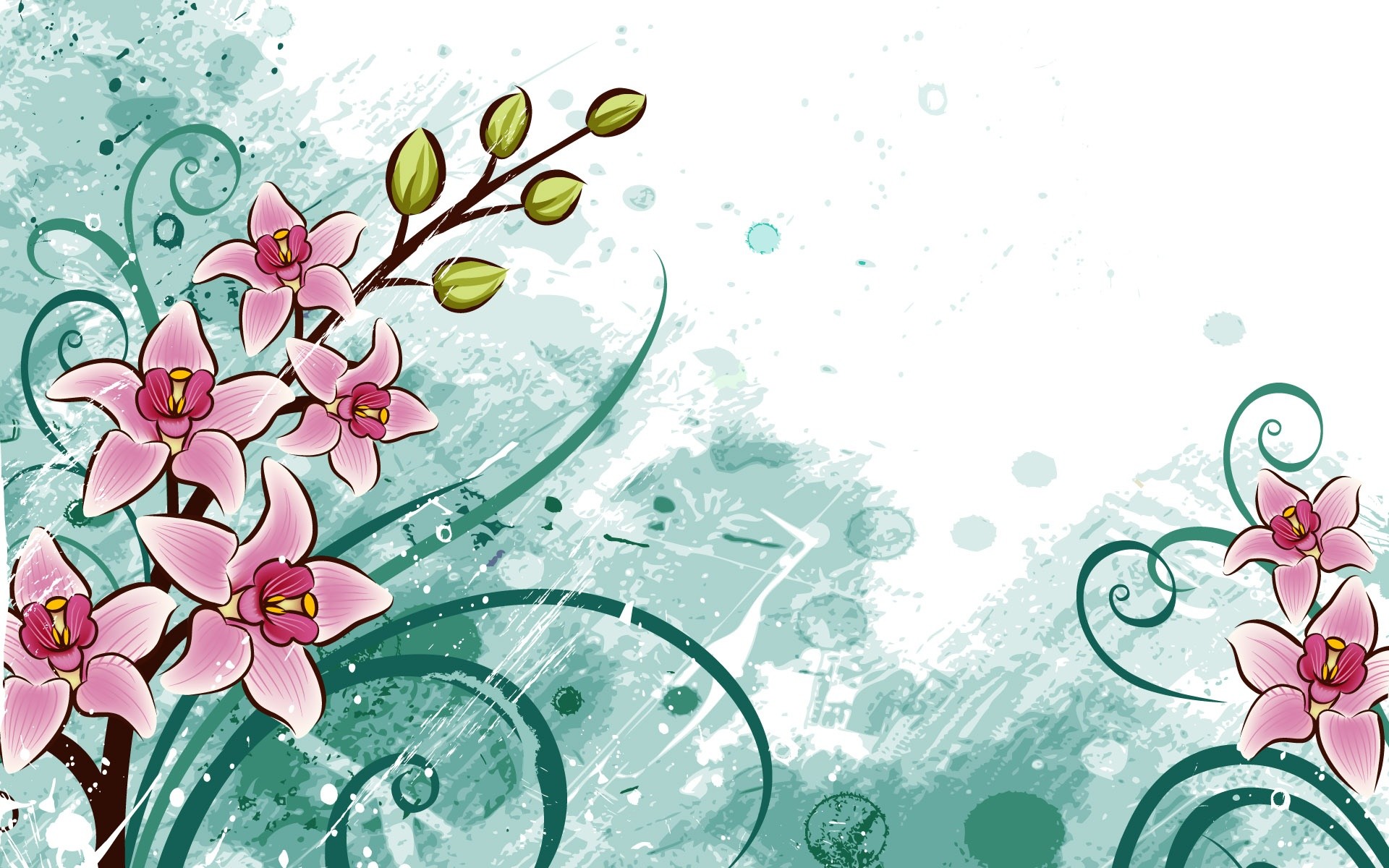 Gigli rosa, Ramo fiorito, Arte vettoriale, Turchese, Sfondo bianco, wallpaper 1920x1200