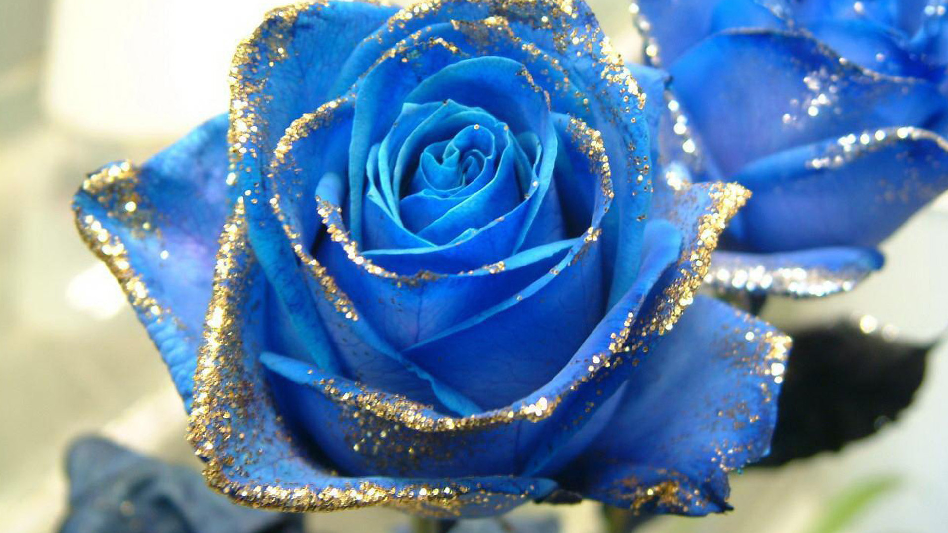 Rosa blu, Glitter dorato, Fiore, 1920x1080, immagine di sfondo