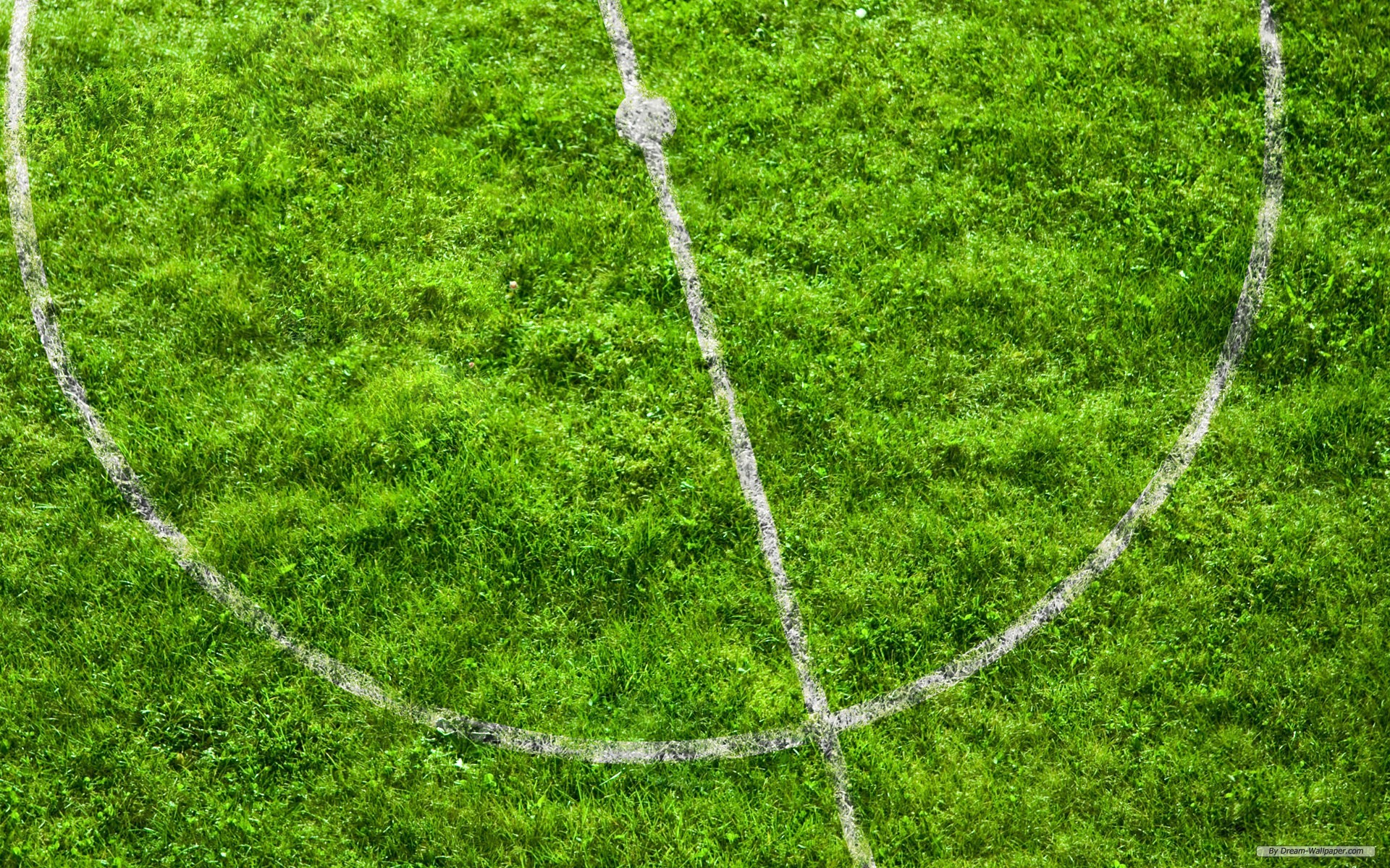 Campo da calcio, Linee bianche, Erba, Centrocampo, Full HD, sfondo Windows 11