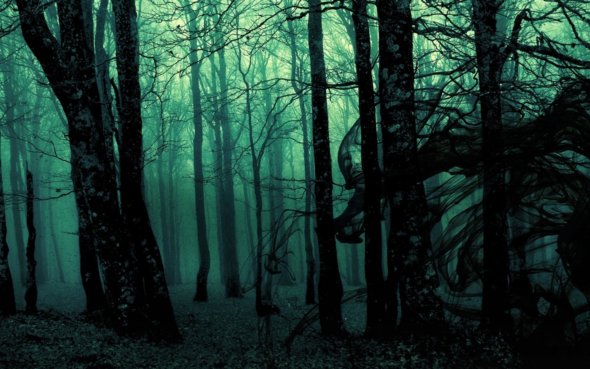 Foresta oscura, Rami contorti, Luce verde, Nebbia, 1920x1200, sfondo MacBook Pro