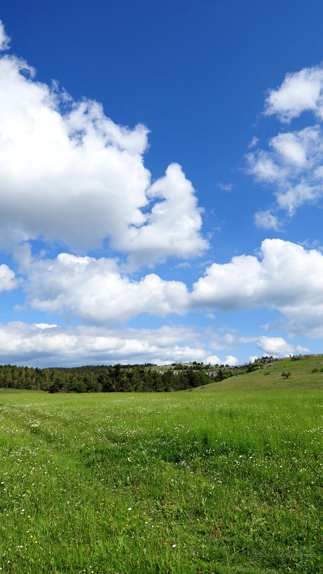 Prato, Collina, Nuvole, Cielo azzurro, Full HD, wallpaper per smartphone