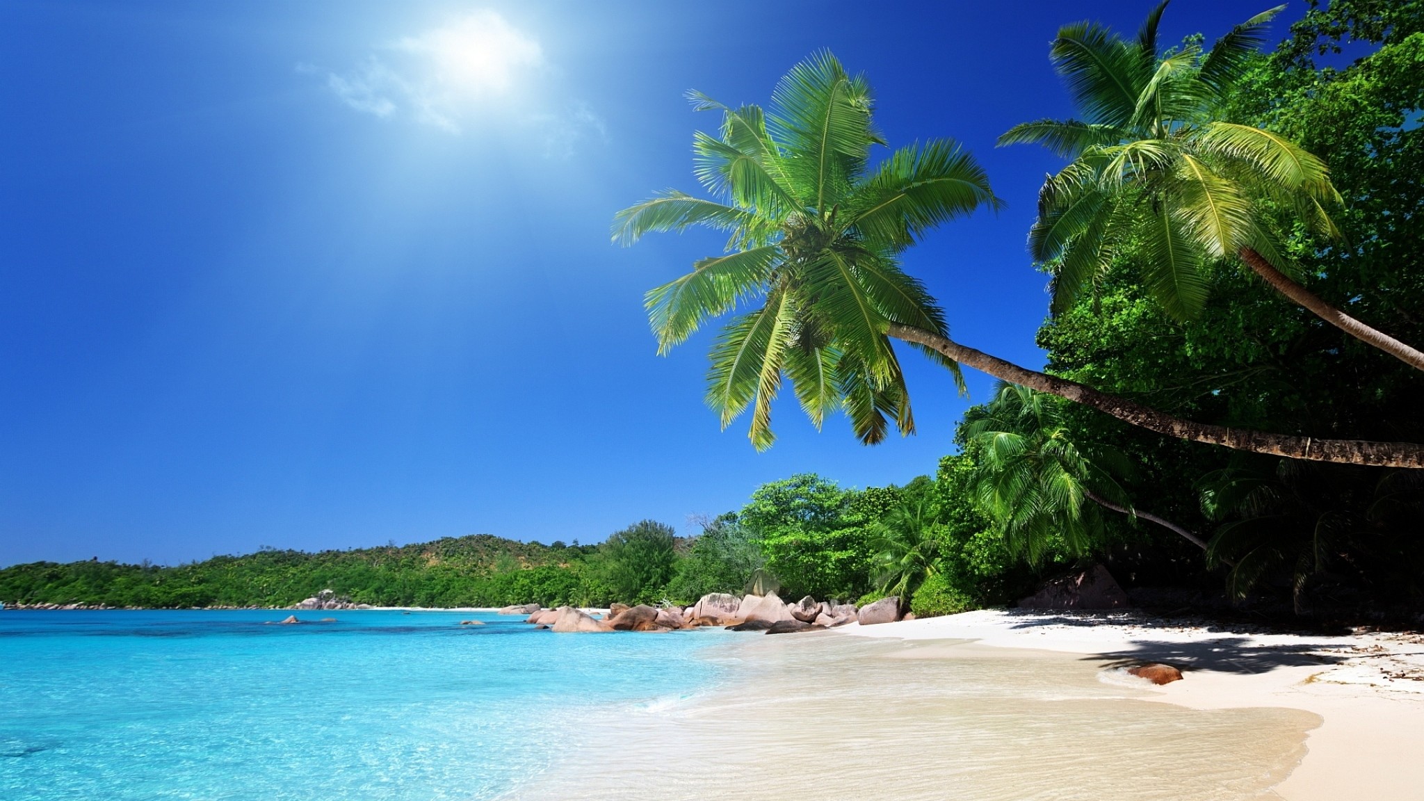 Palme, Spiaggia tropicale, Cielo azzurro, Full HD, wallpaper per computer