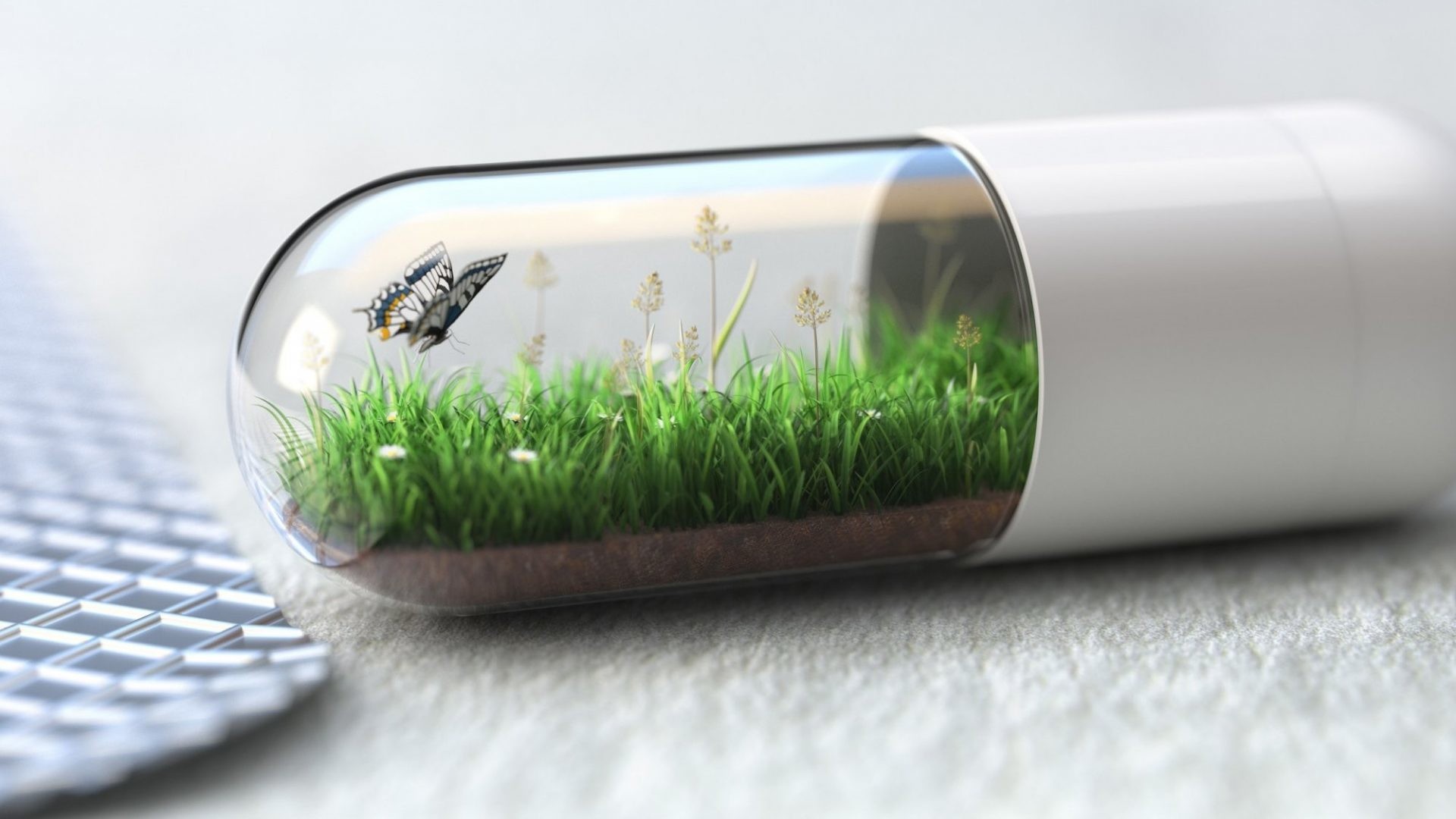Capsula, Erba, Farfalla, Medicina naturale, Full HD 1080p, sfondo desktop