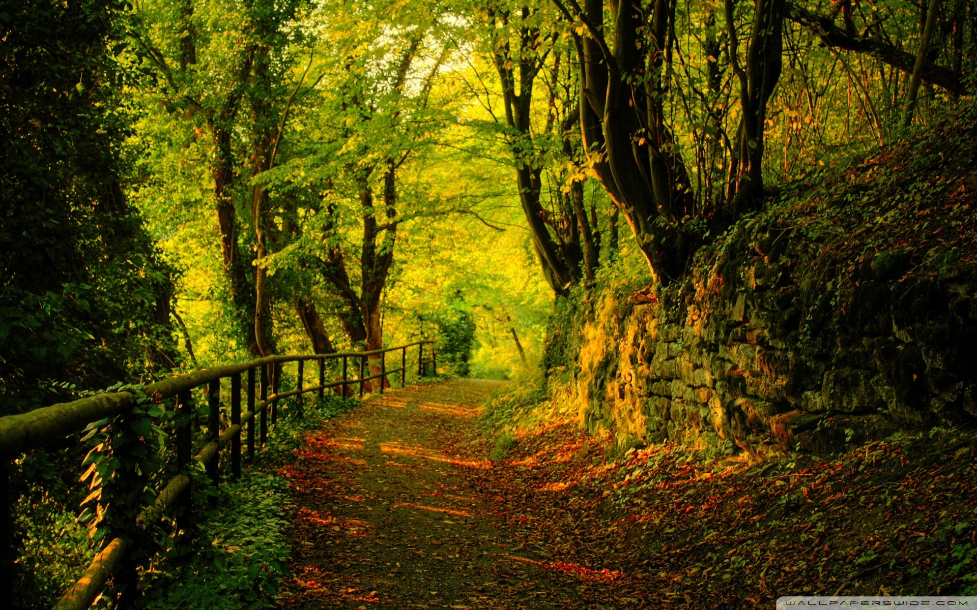 Sentiero, Staccionata, Bosco, Autunno, 1920x1200, sfondo per PC