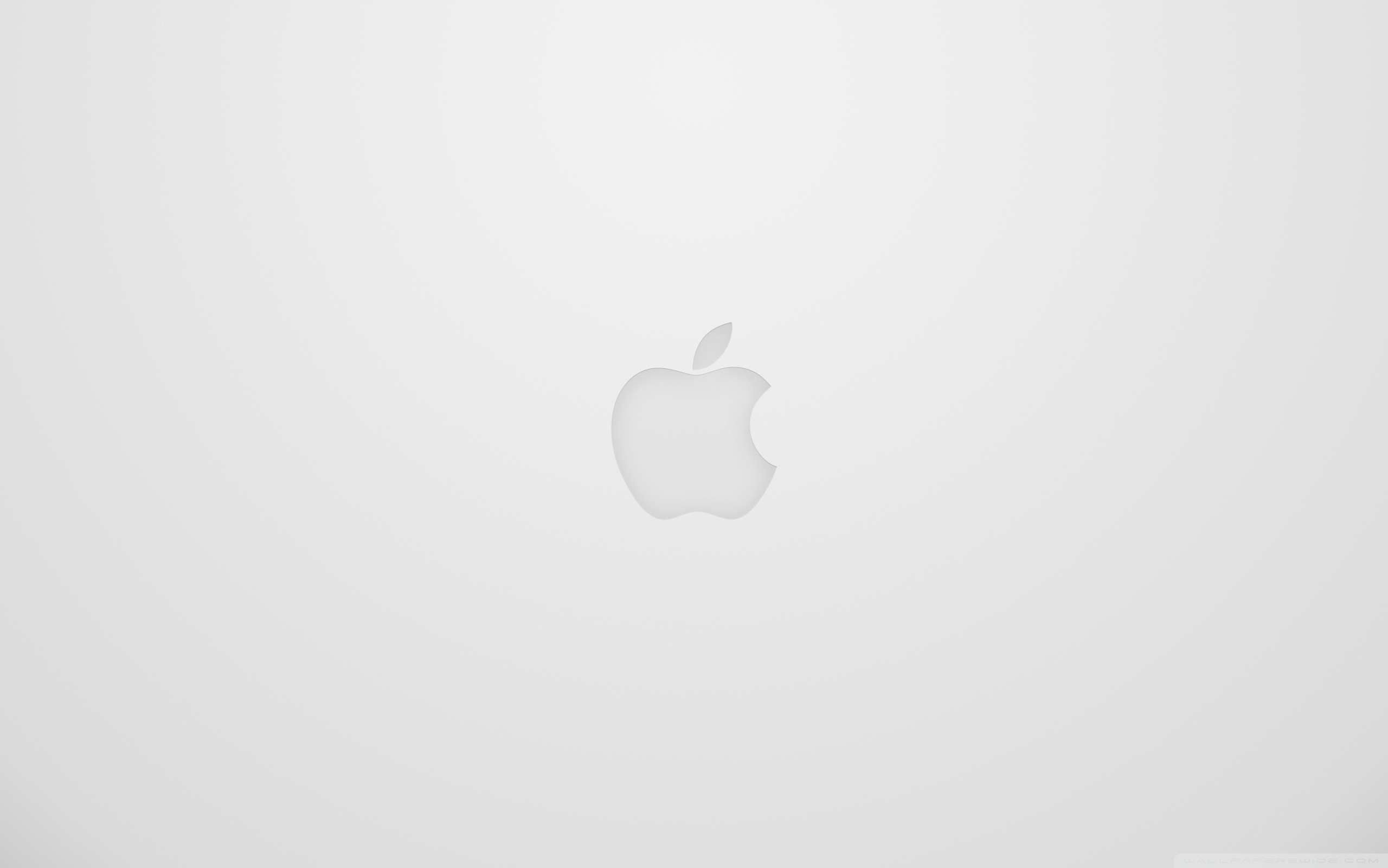 Logo Apple, Apple, Grigio chiaro, Minimalista, 2560x1600, sfondo per PC