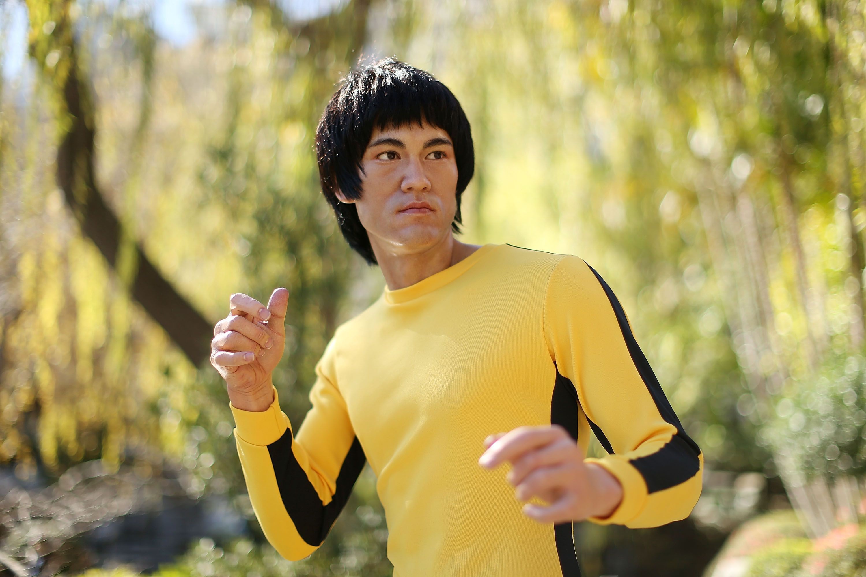 Bruce Lee, Tuta gialla, Posa di kung fu, Giardino, 2K, sfondo Windows 11