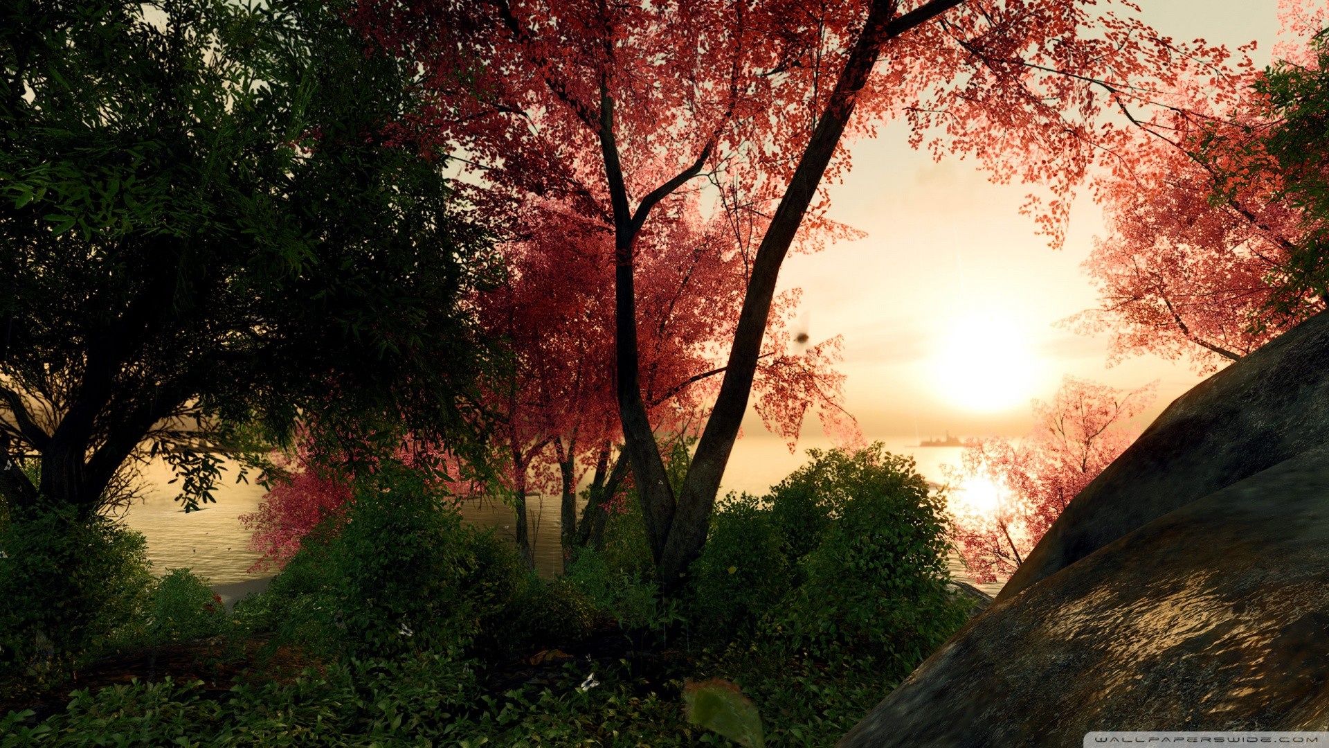 Ciliegio, Tramonto, Foresta, Rendering 3D, Full HD, sfondo per portatile
