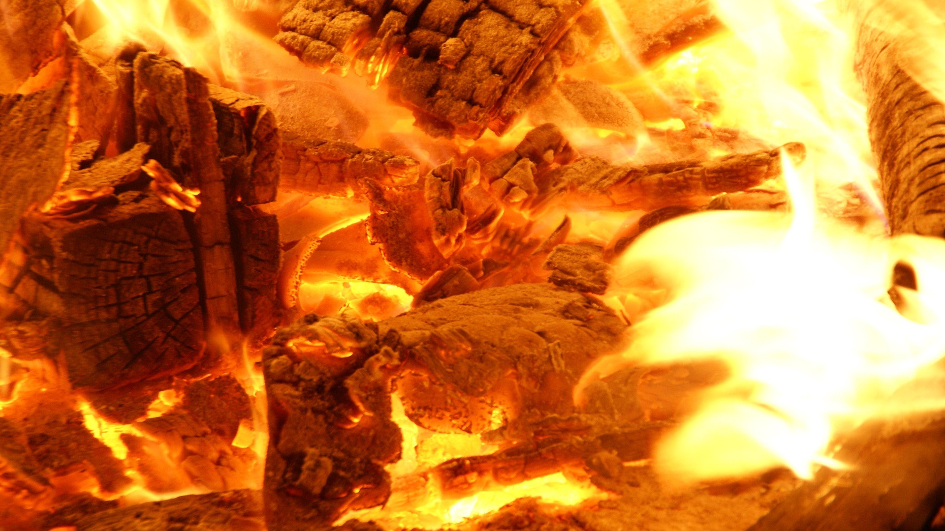 Braci, Legna ardente, Fuoco, Primo piano, Full HD, sfondo per PC e portatile