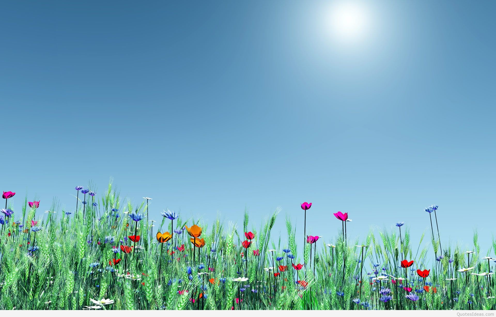 Prato fiorito, Cielo azzurro, Sole, Minimalismo, Full HD, sfondo desktop