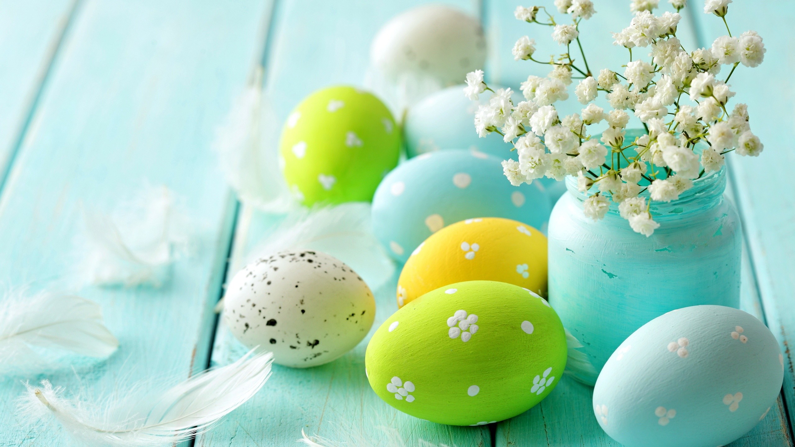 Uova di Pasqua, Colori pastello, Gipsofila, Piume, Turchese, 2560x1440, immagine di sfondo