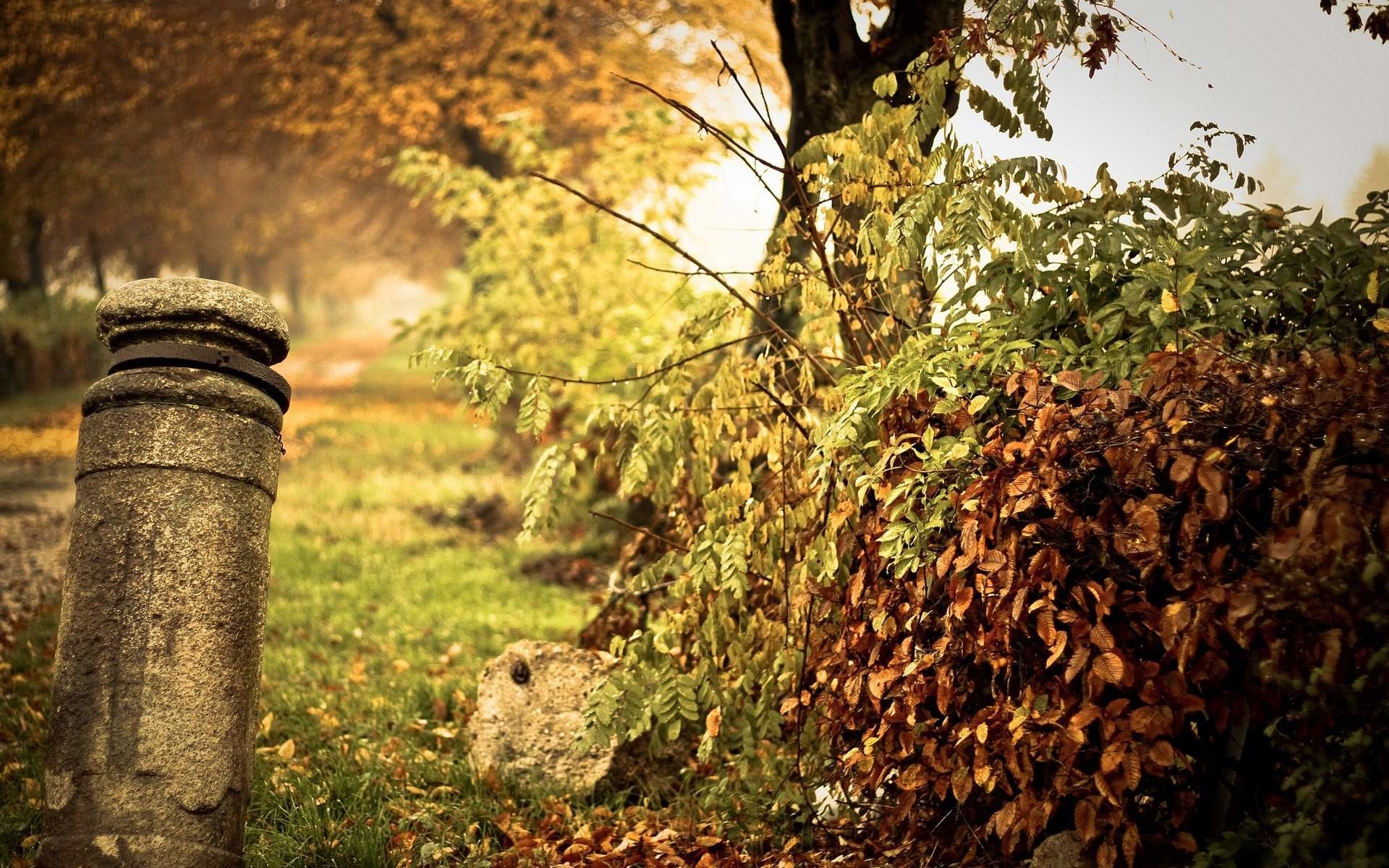 Parco, Autunno, Pilastro di pietra, Effetto vintage, 1920x1200, sfondo MacBook Pro