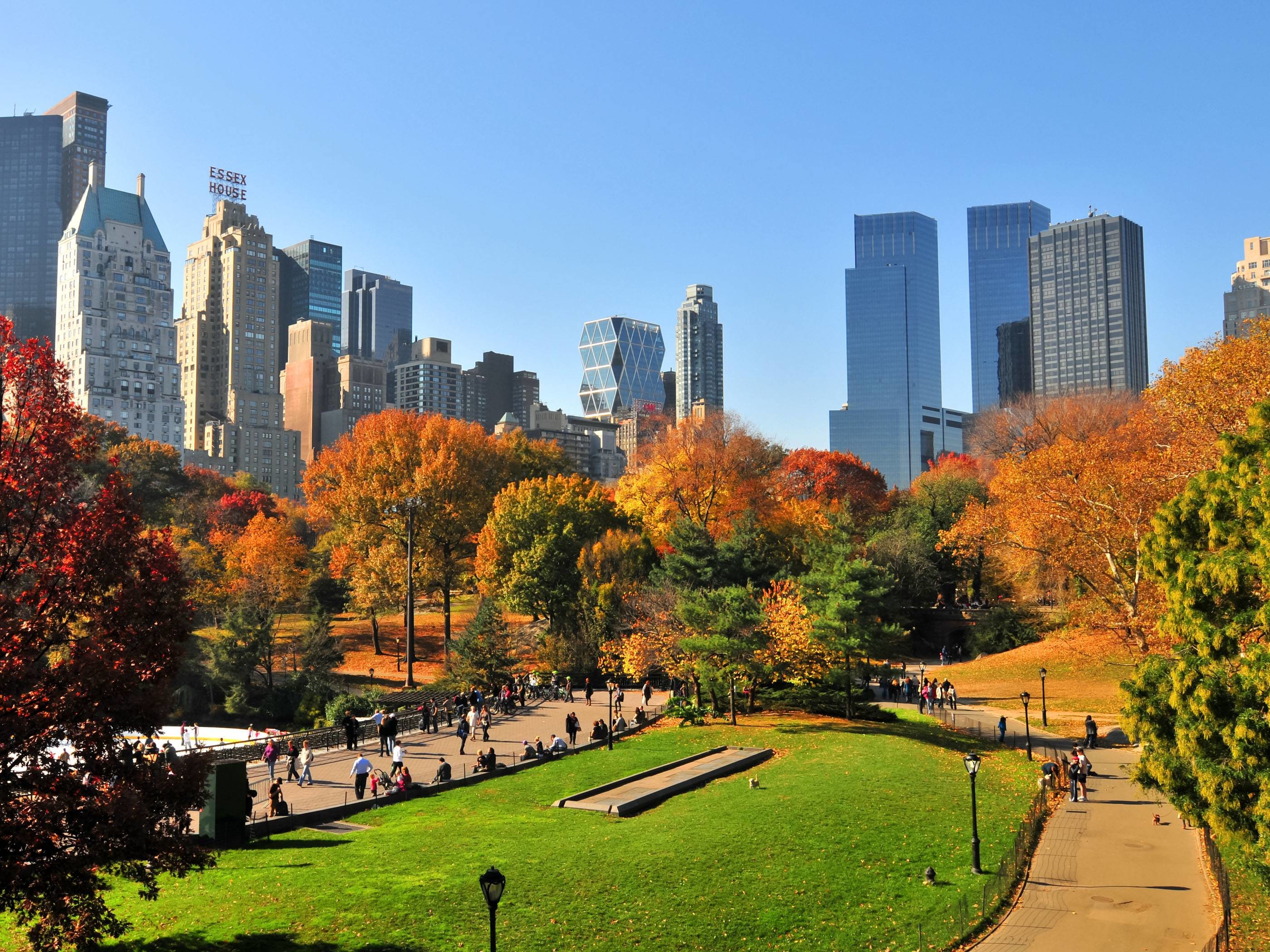 Central Park, New York, Autunno, Grattacieli, 2K, schermata di blocco iPad